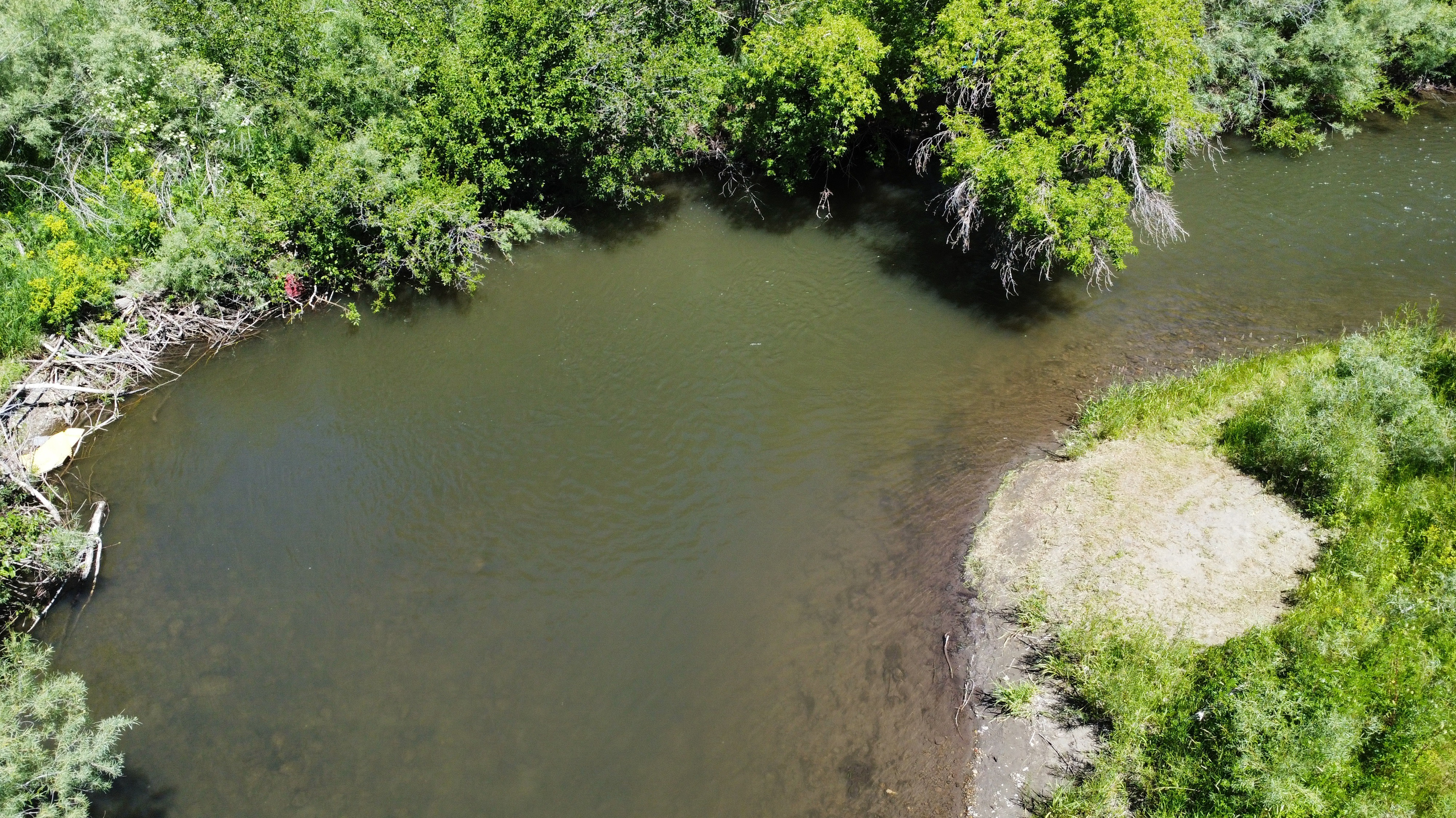East Gallatin River Campsite