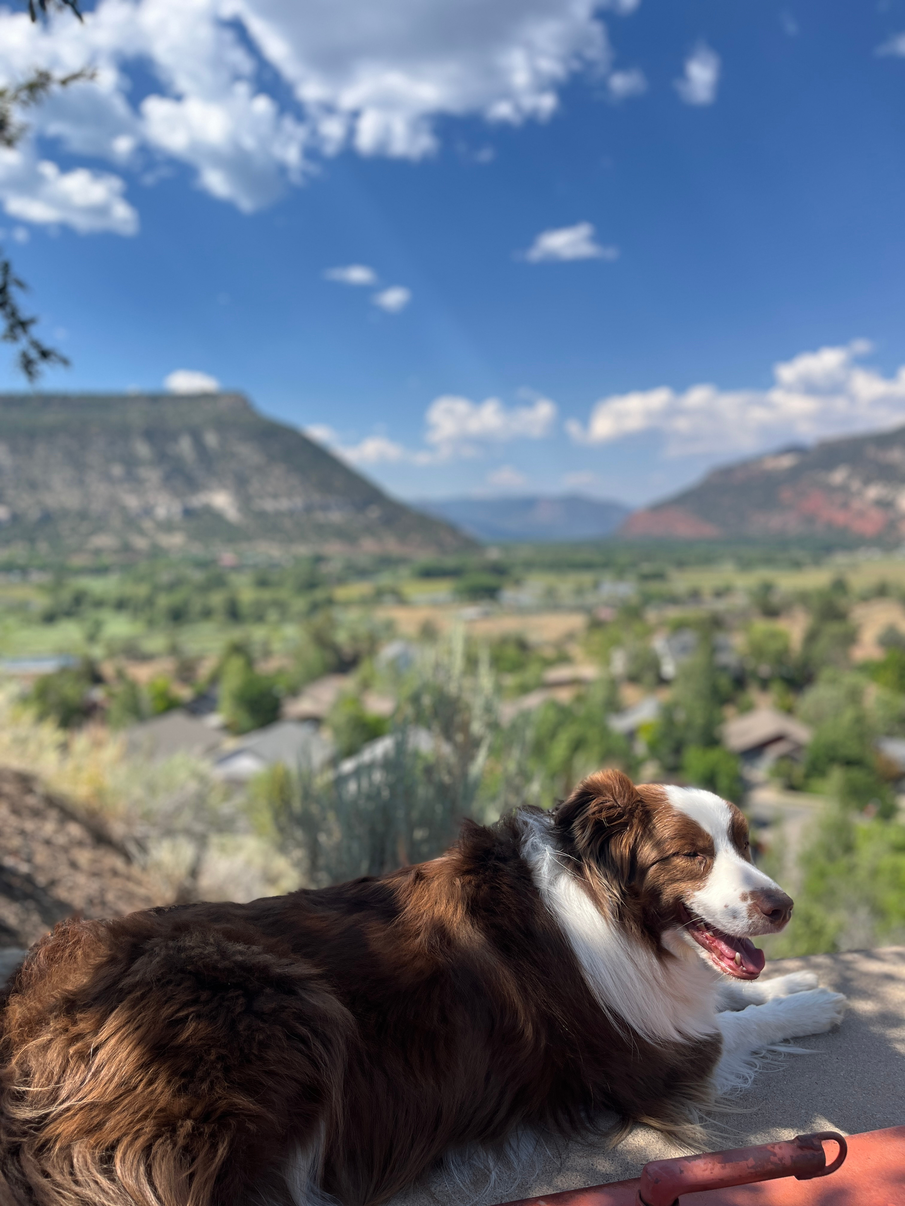 Views For Days! In Town Durango