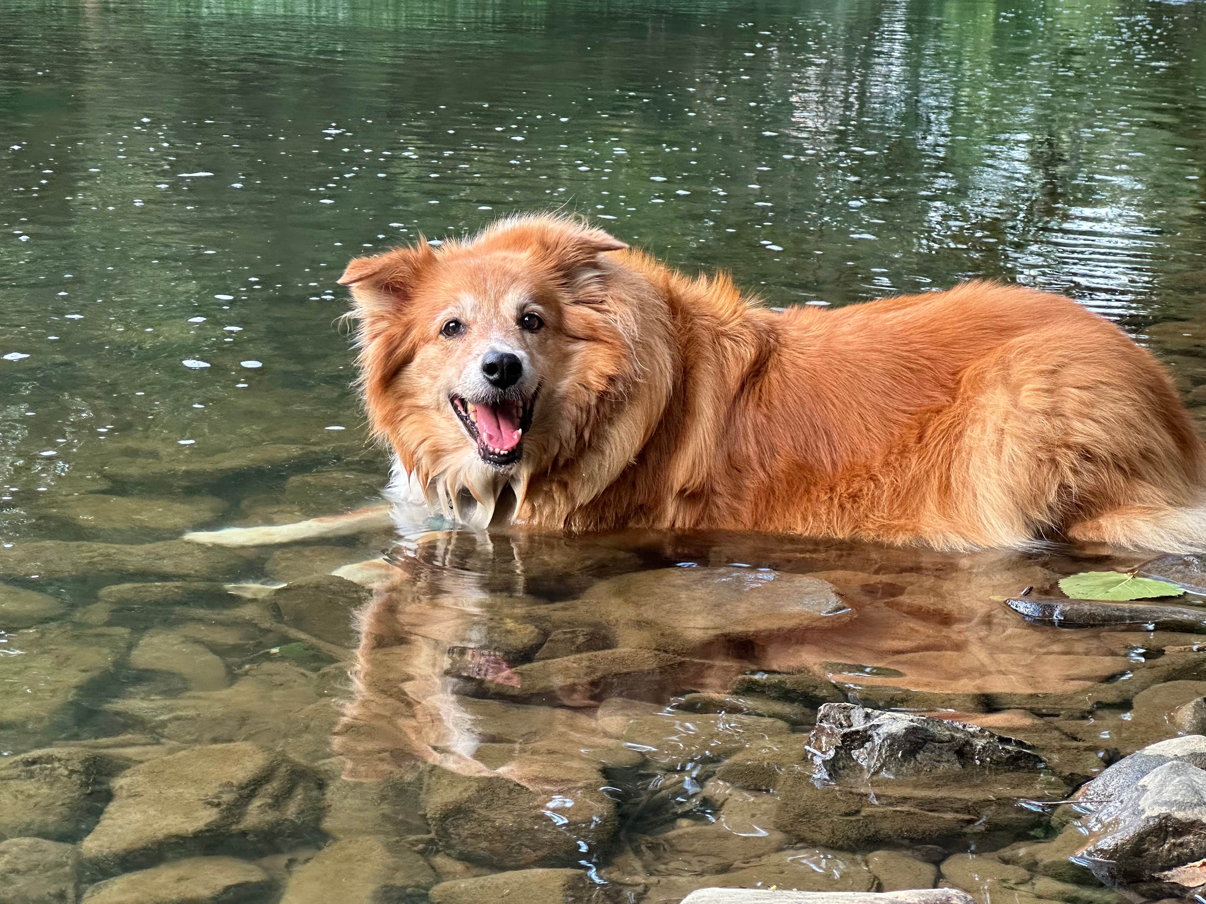 Our lady was in her favorite place