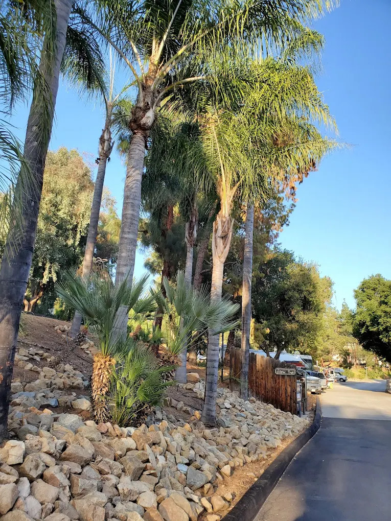 Rancho Los Coches RV Park