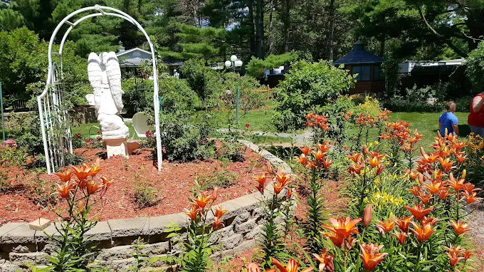 Pioneer Campsite Resort