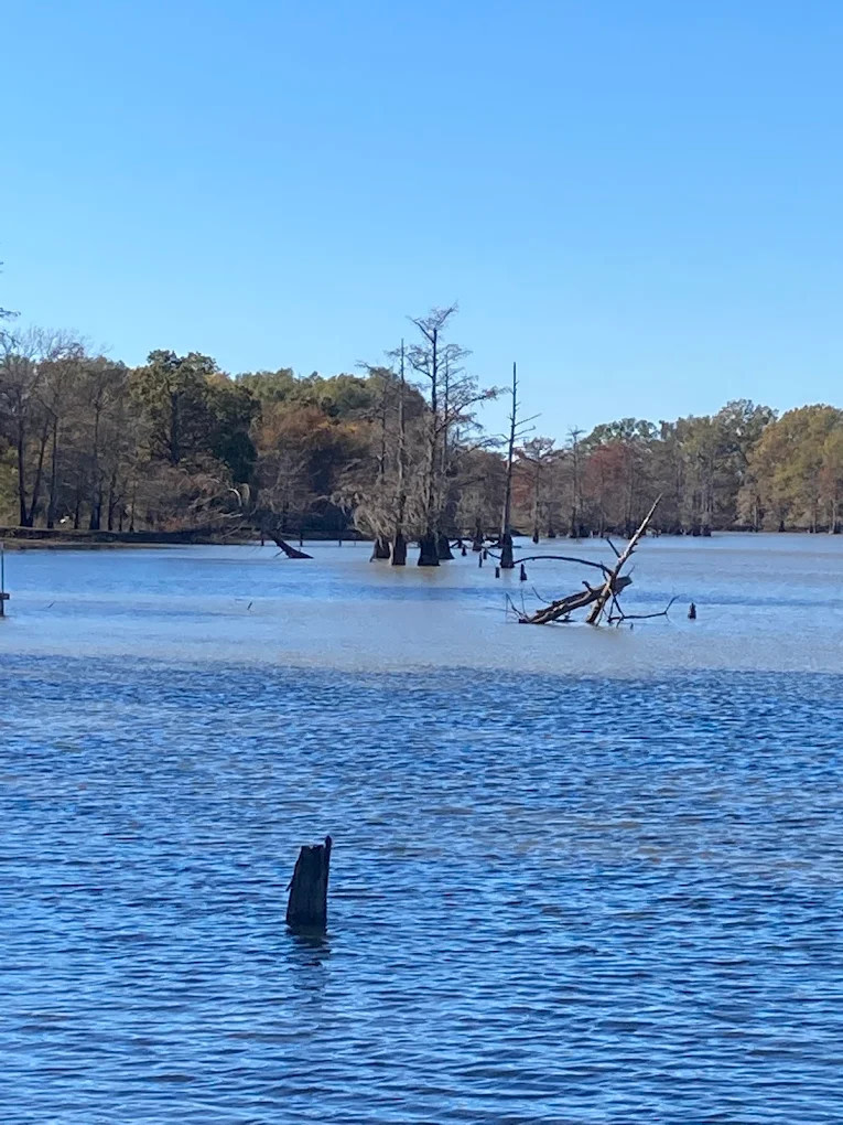 Riverside RV Park