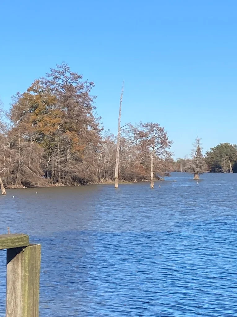 Riverside RV Park