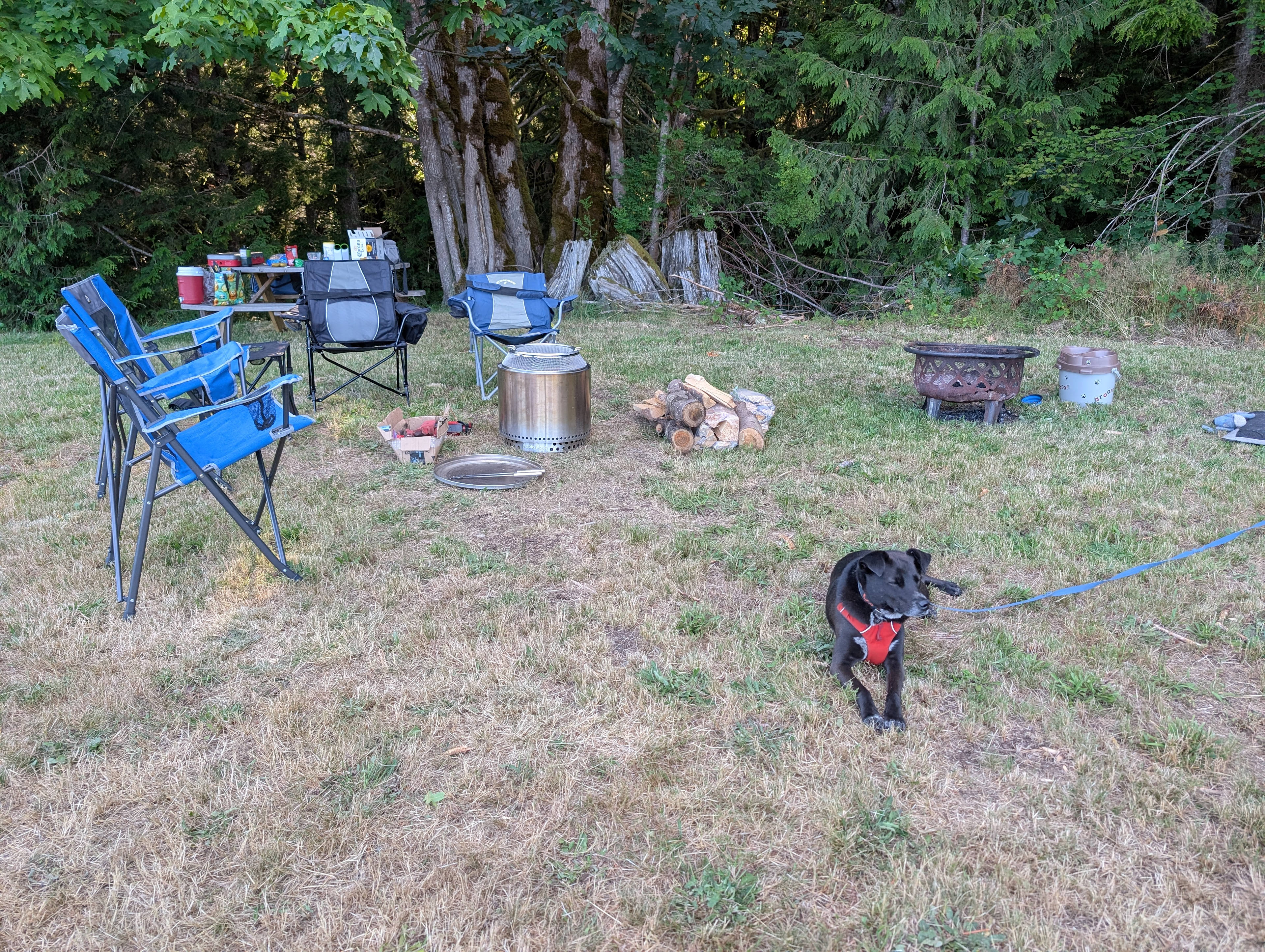 The PNW Landing (Monroe)