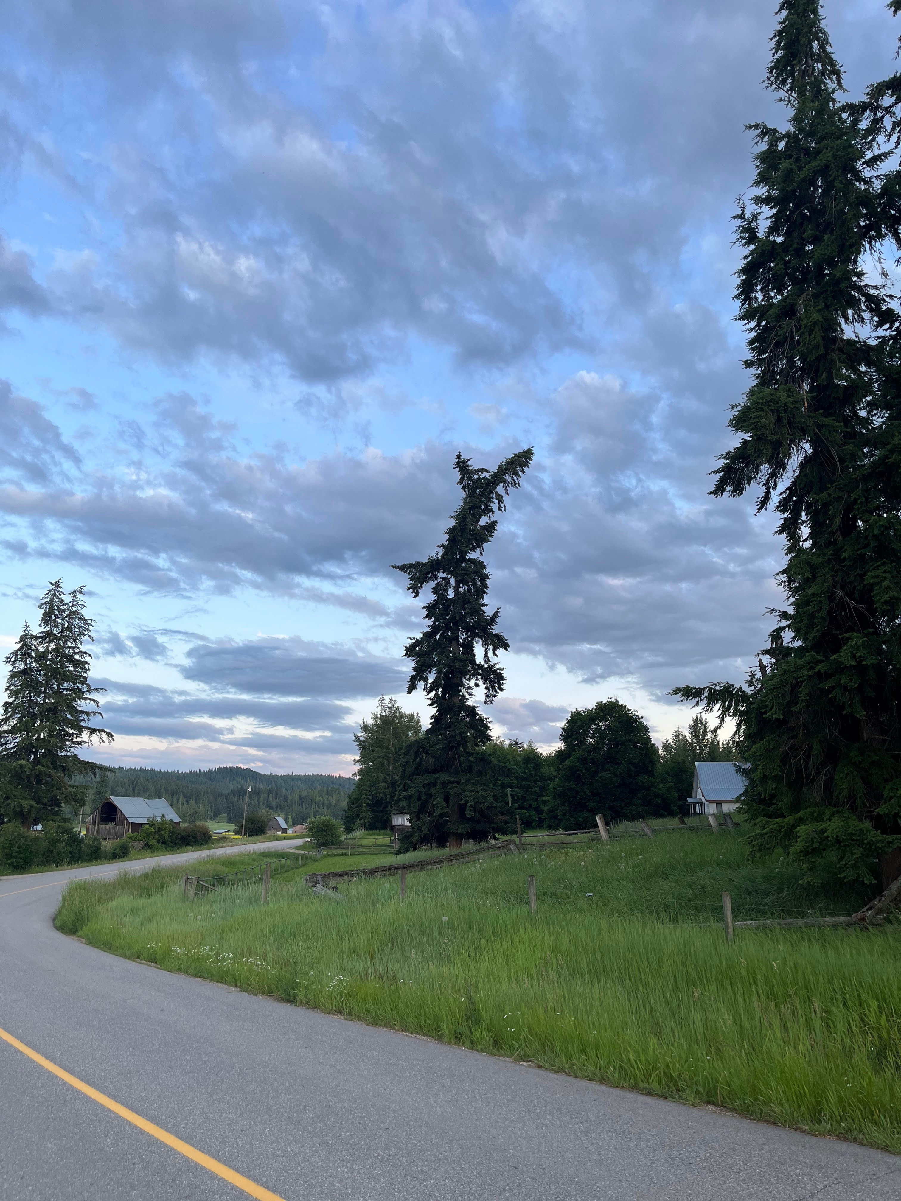 Deep Creek Forest Lawn Retreat