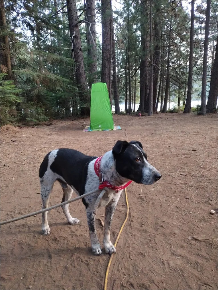 Ponderosa Flat Campground