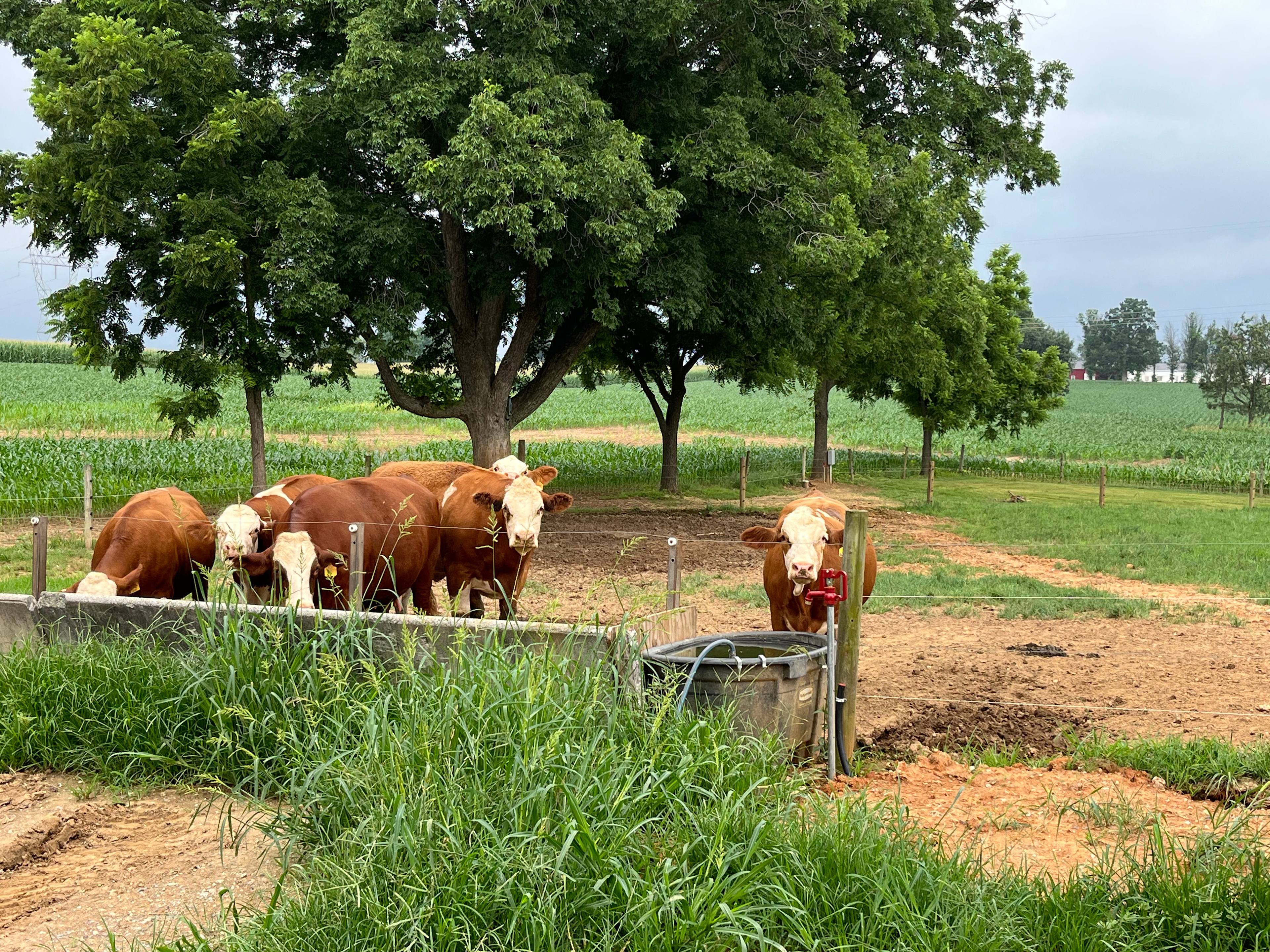Shelmar Acres
