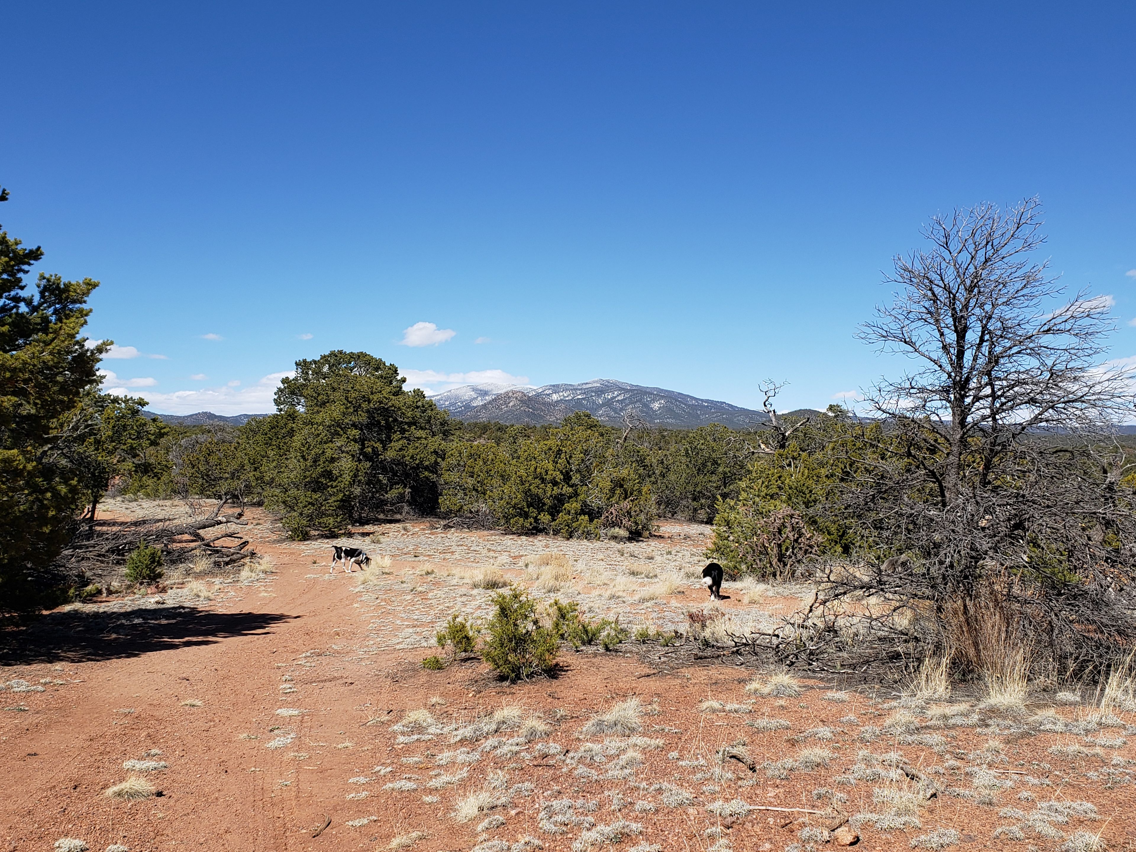 Ridgetop Oasis Private Tent Site