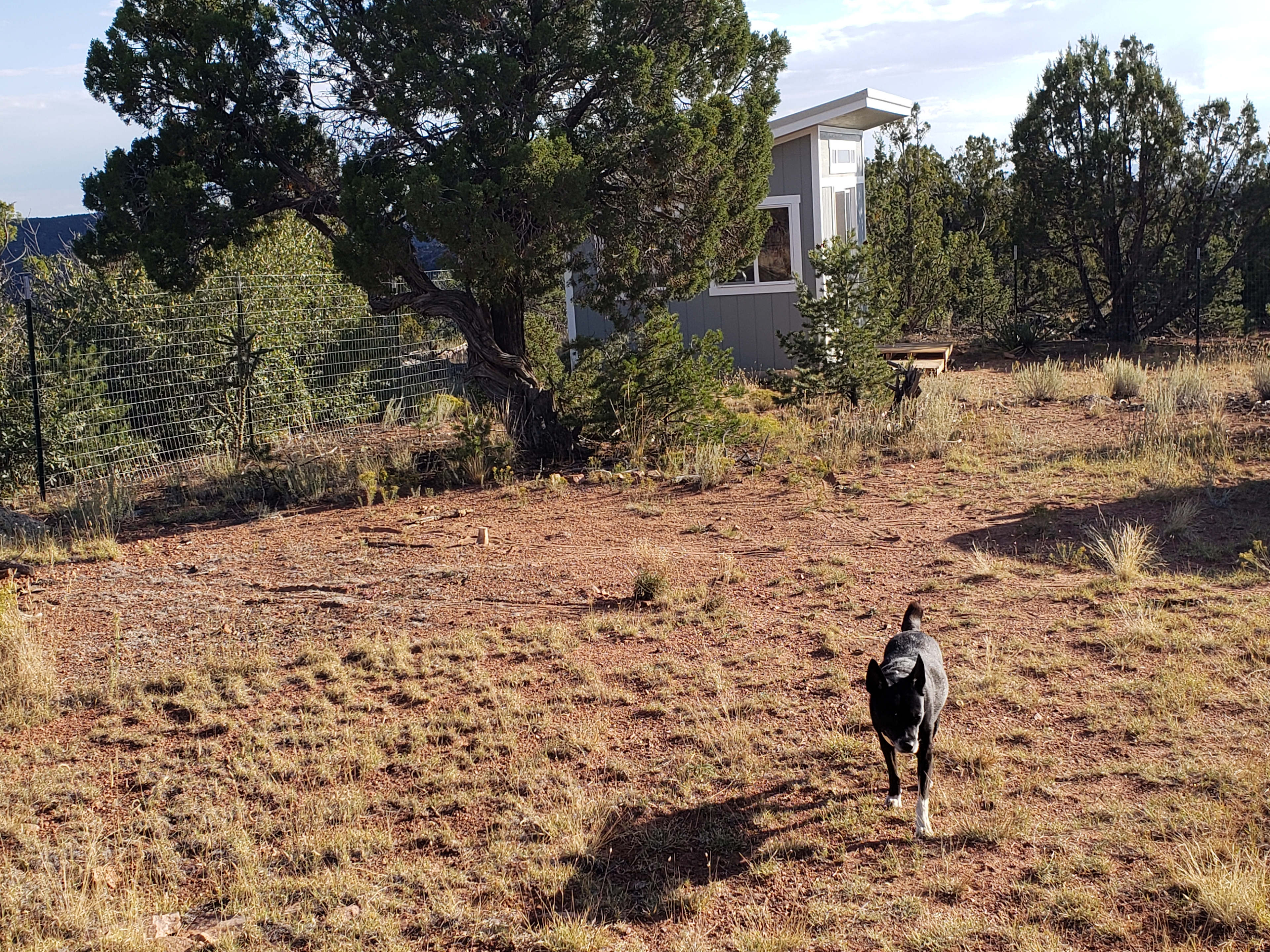 Ridgetop Oasis Private Tent Site