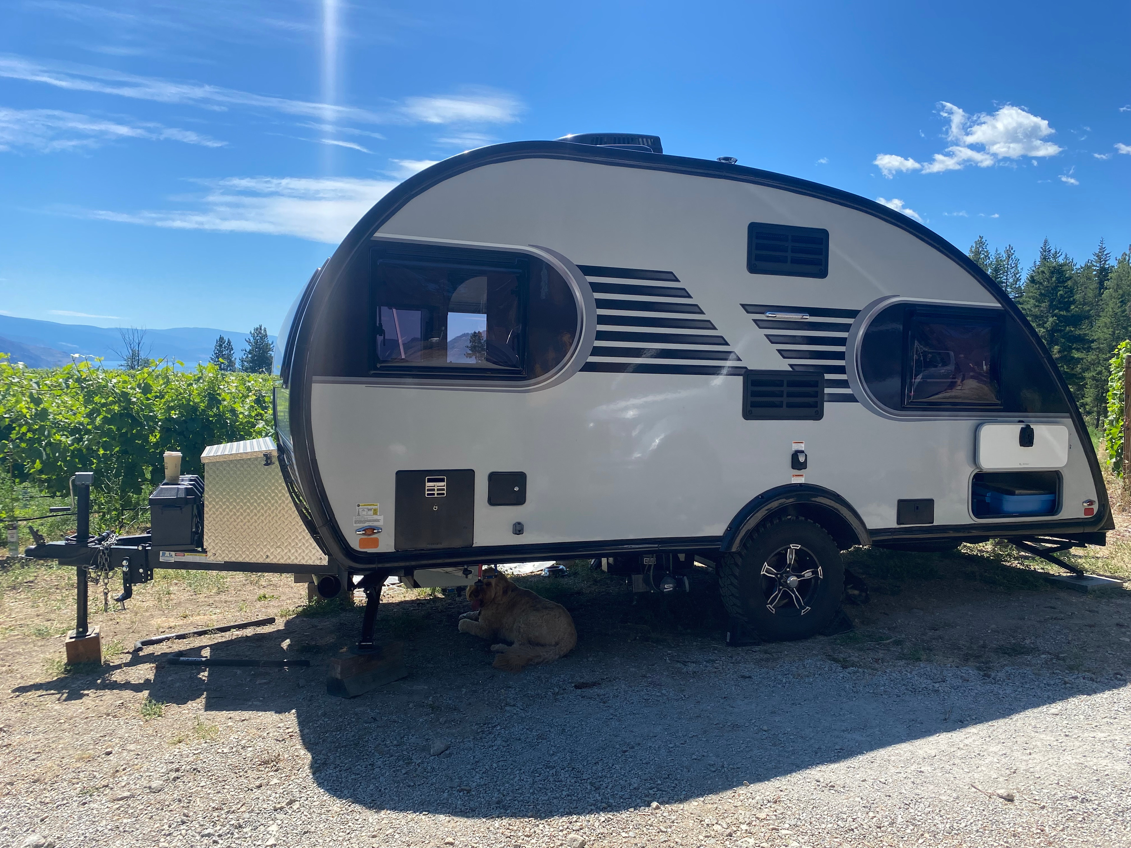 Back Forty Vineyards