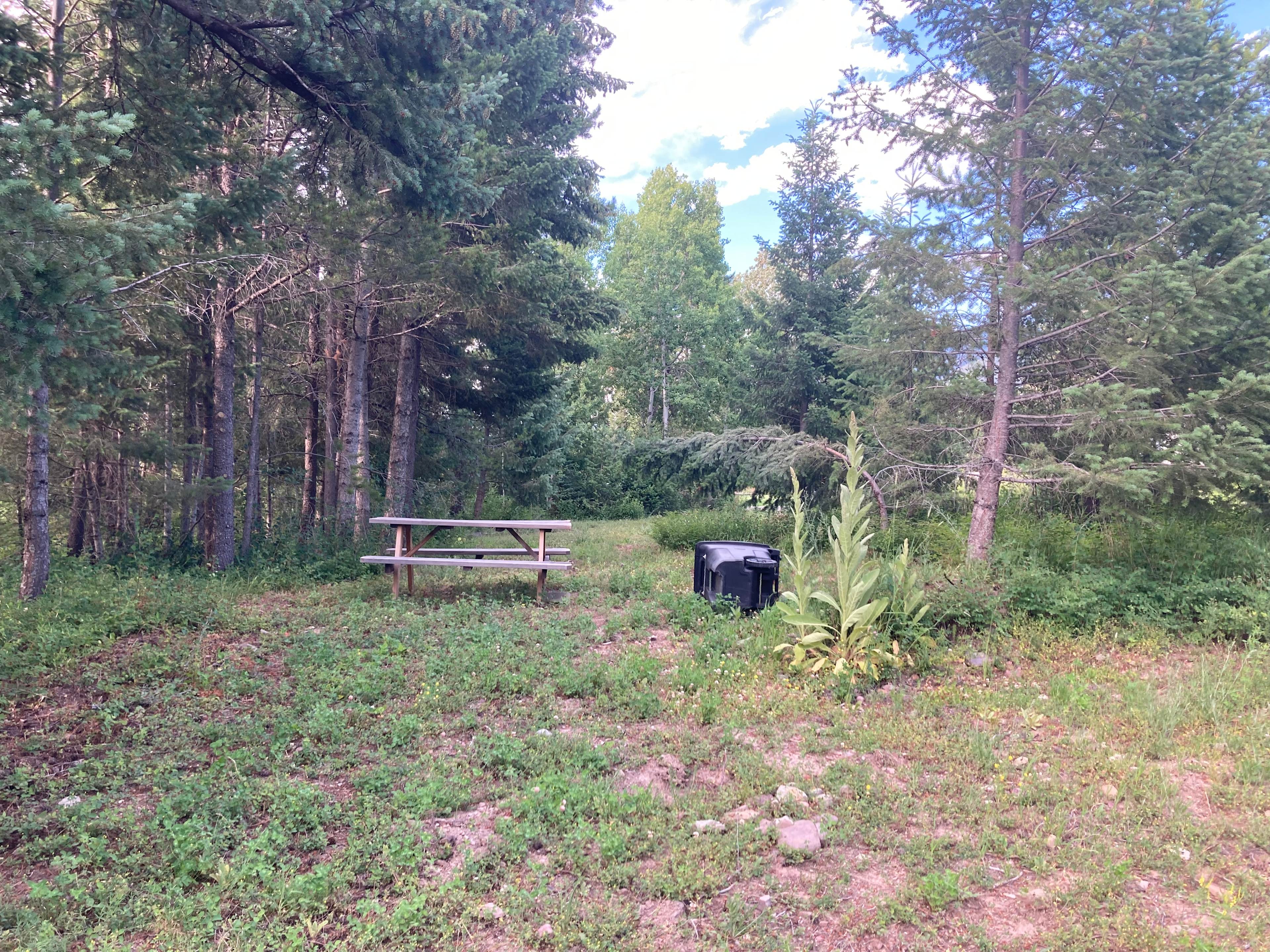 Martin City's Famous Campground