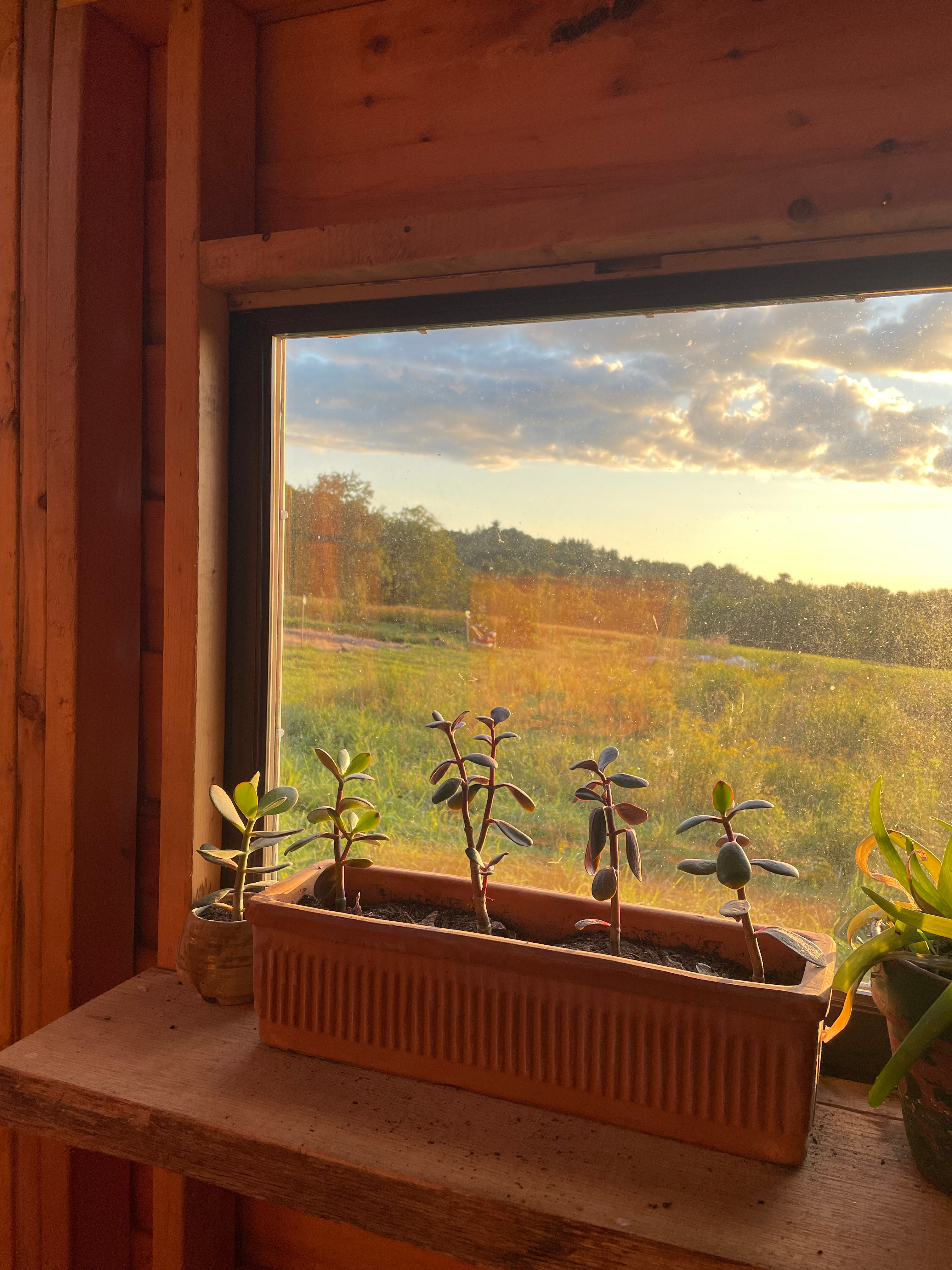 Glamping on an Herb Farm