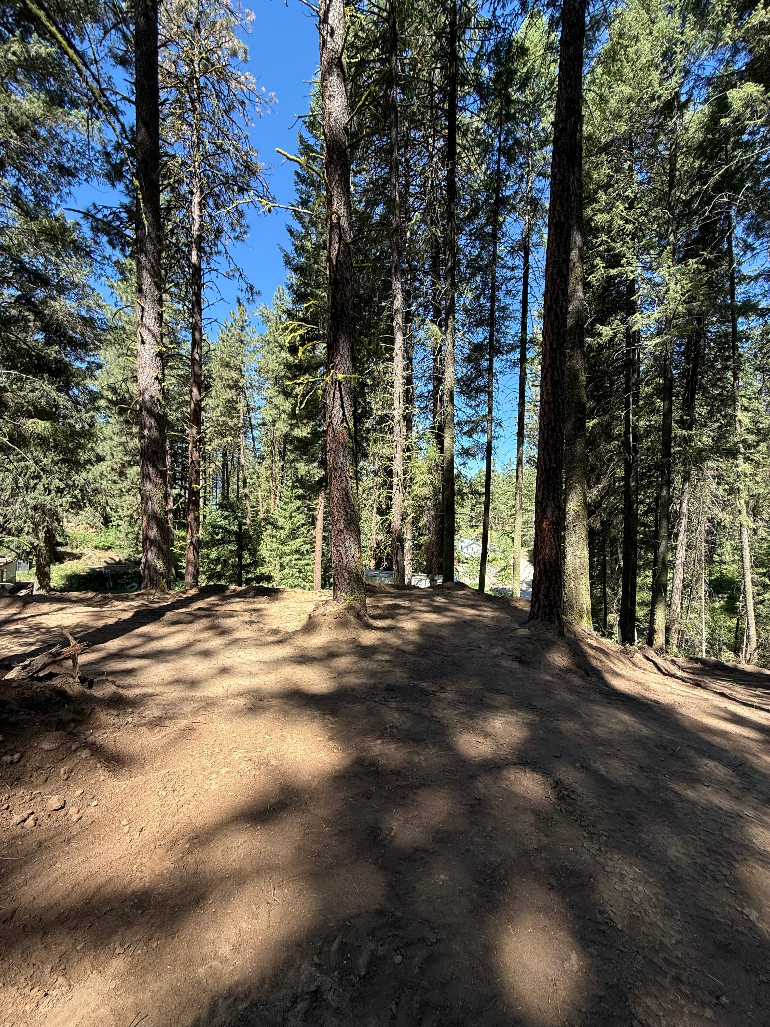 Bare Roots Camp