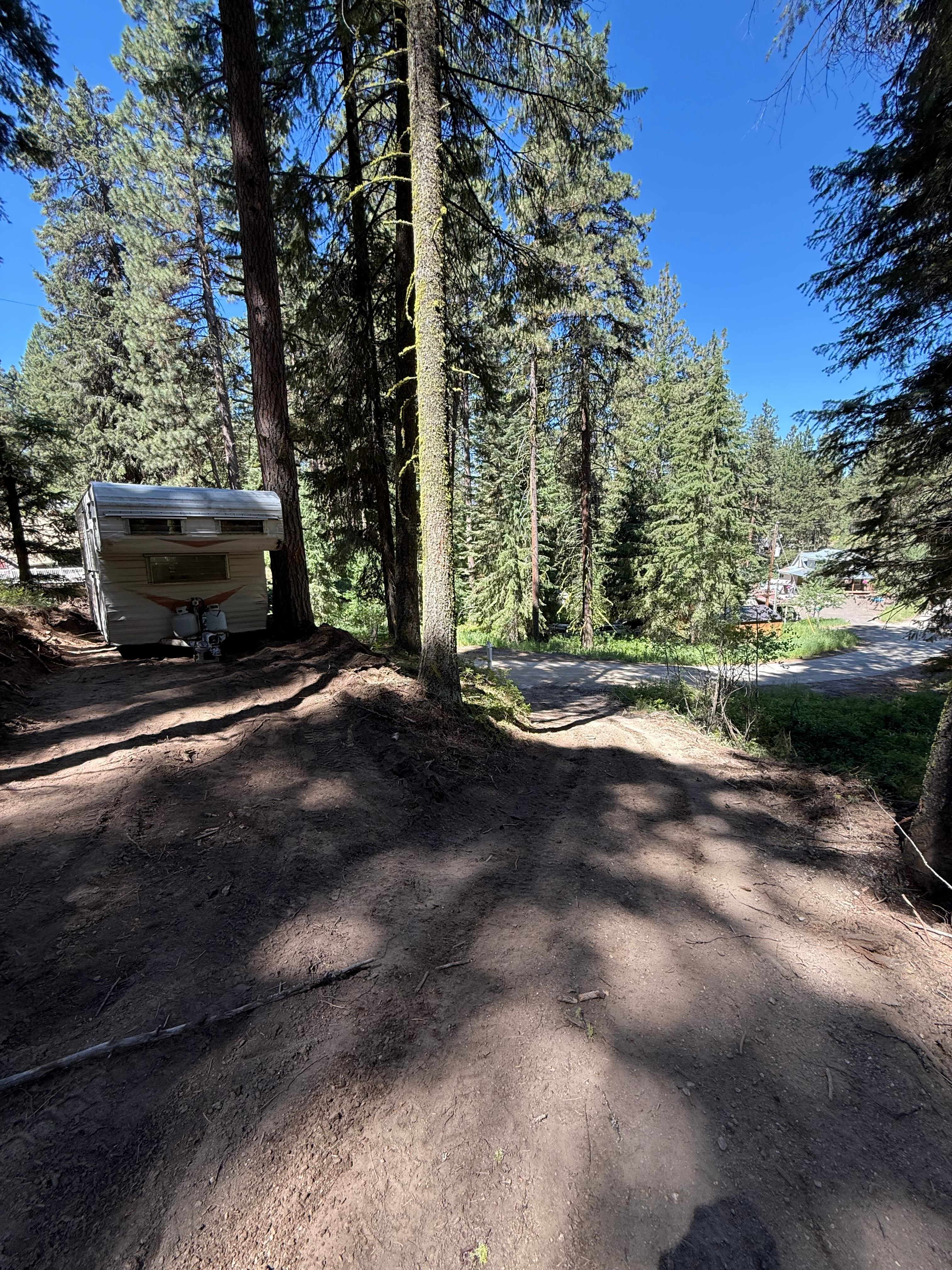 Bare Roots Camp