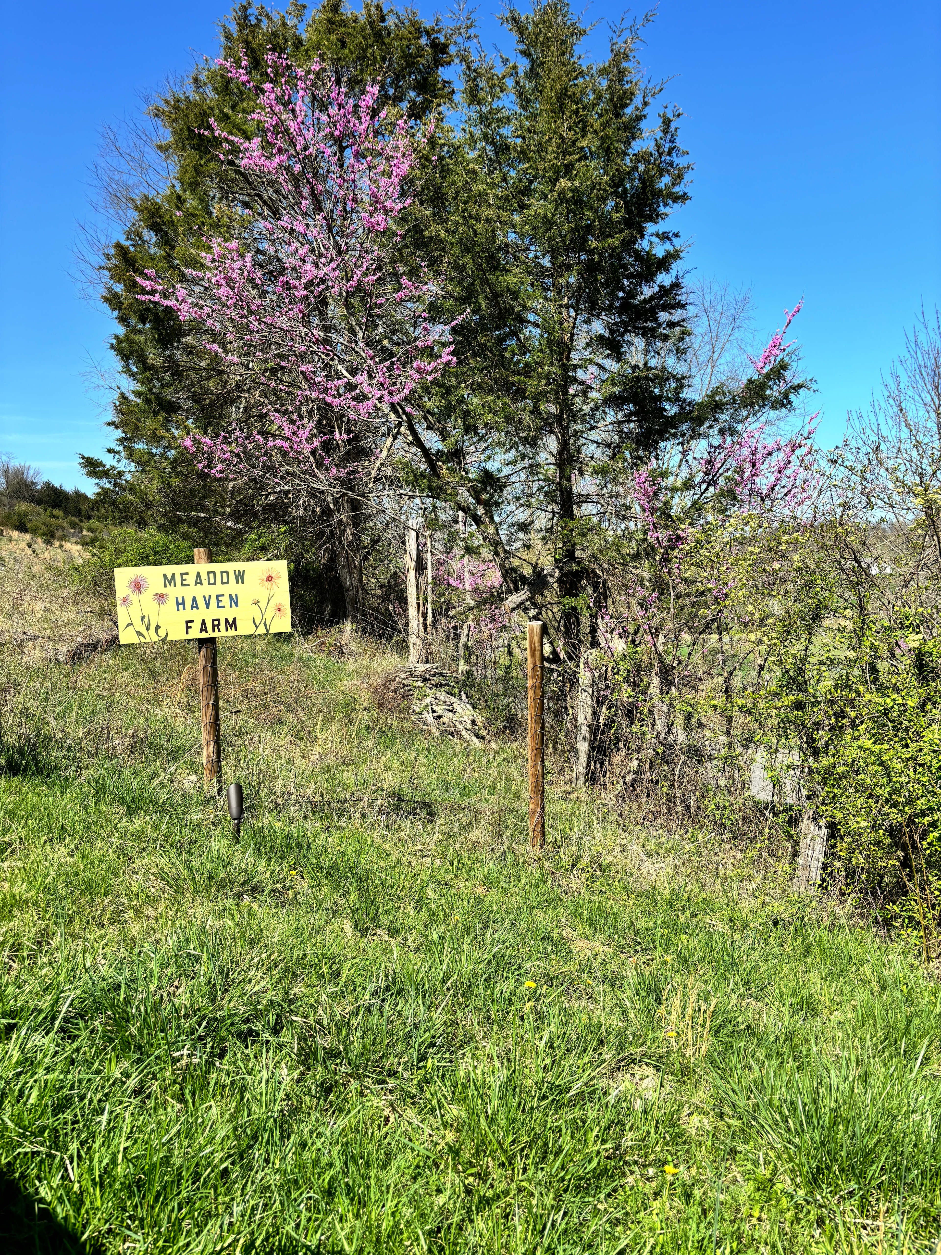 Meadow Haven Farm and Camping