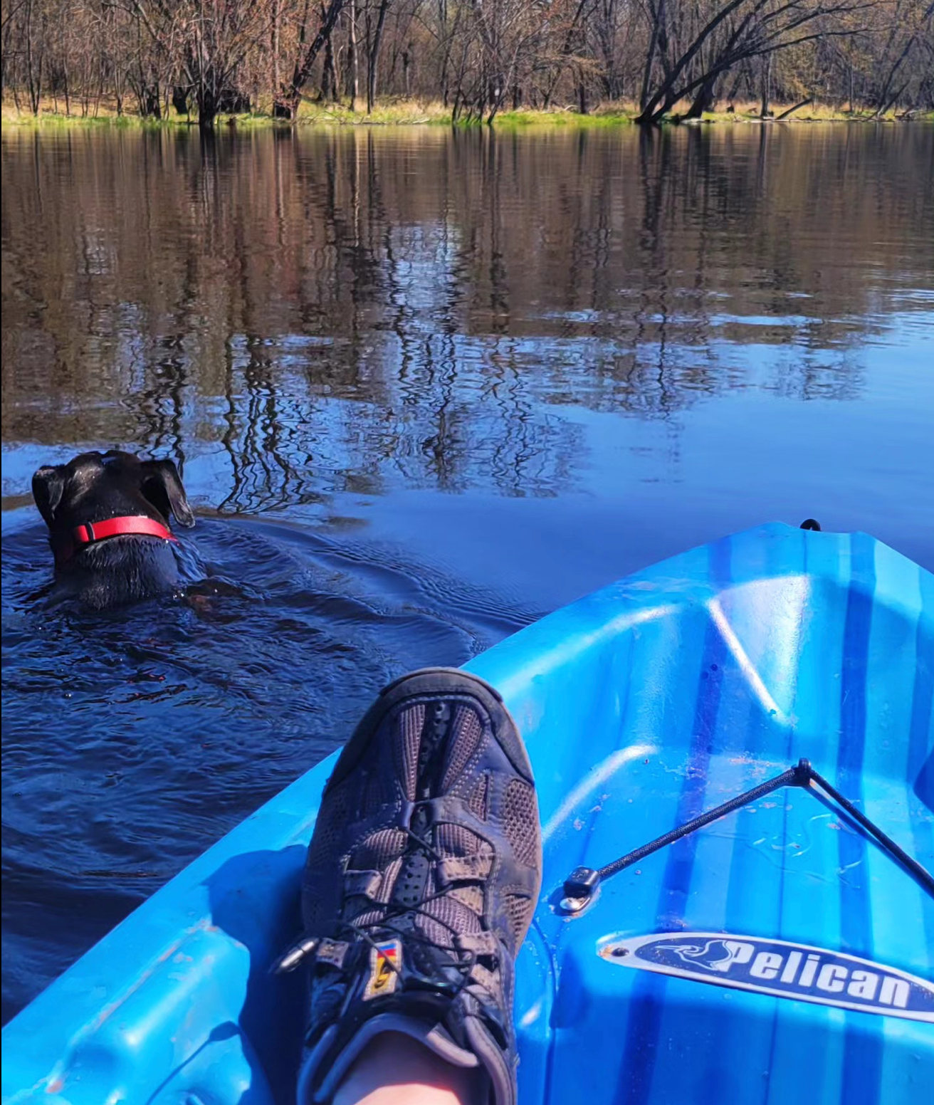 Lazy River Landing