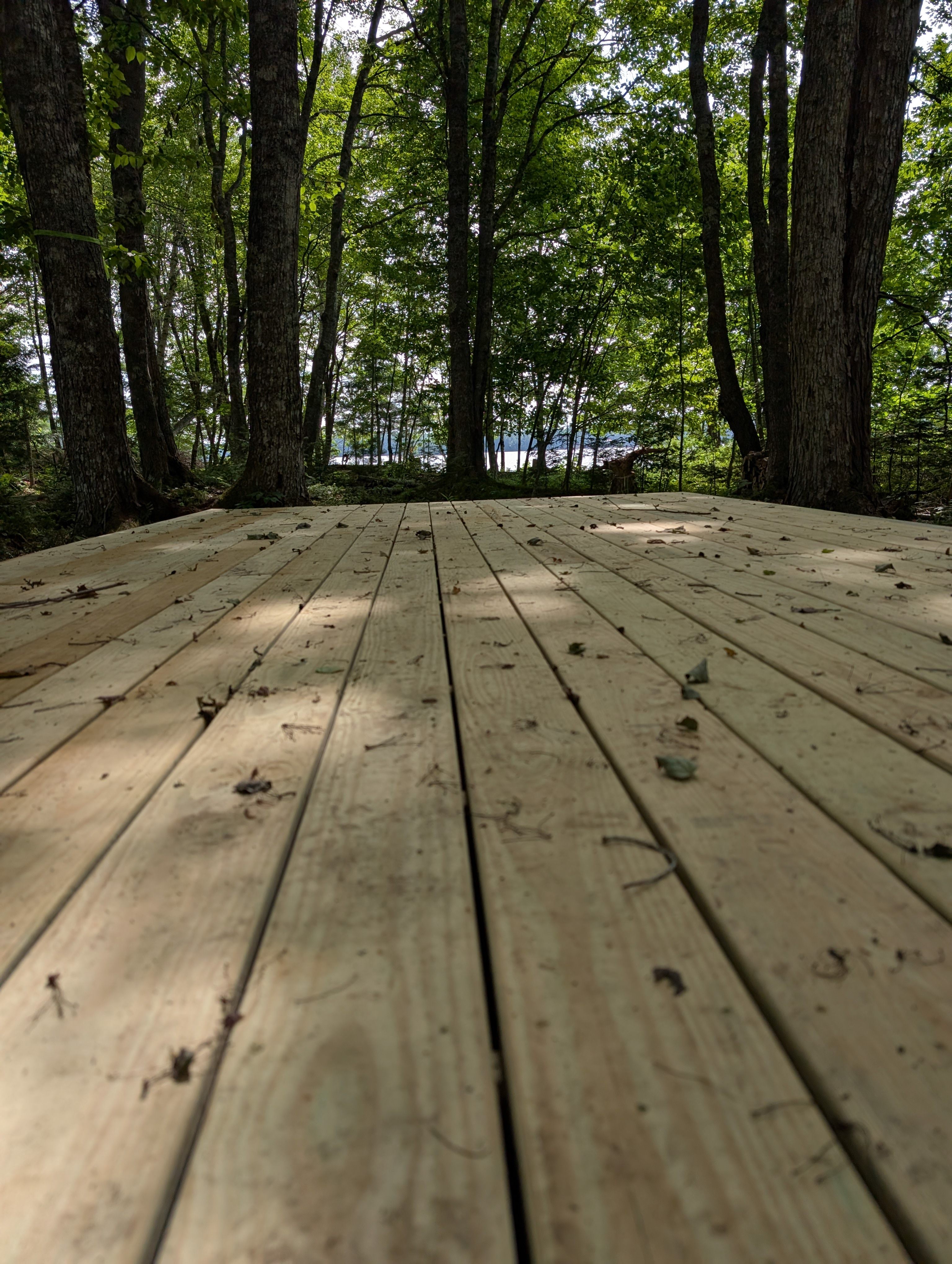 Wild Soul Serenity Campground
