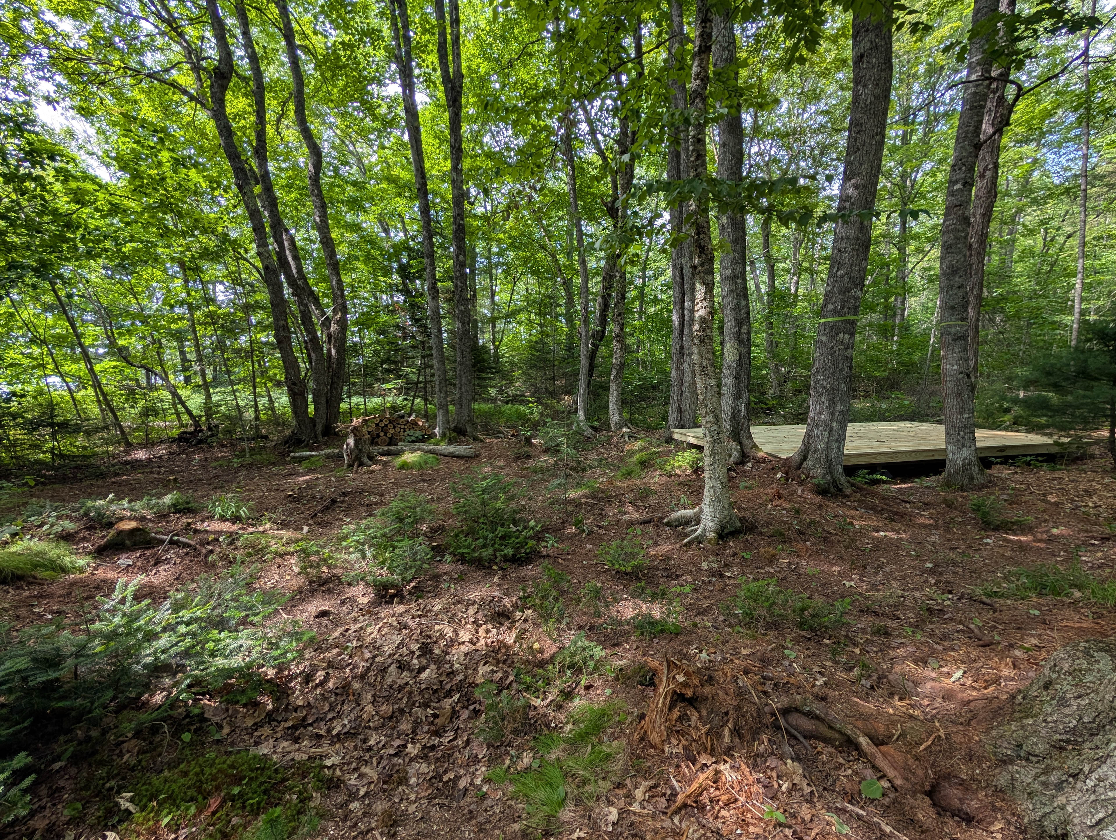 Wild Soul Serenity Campground