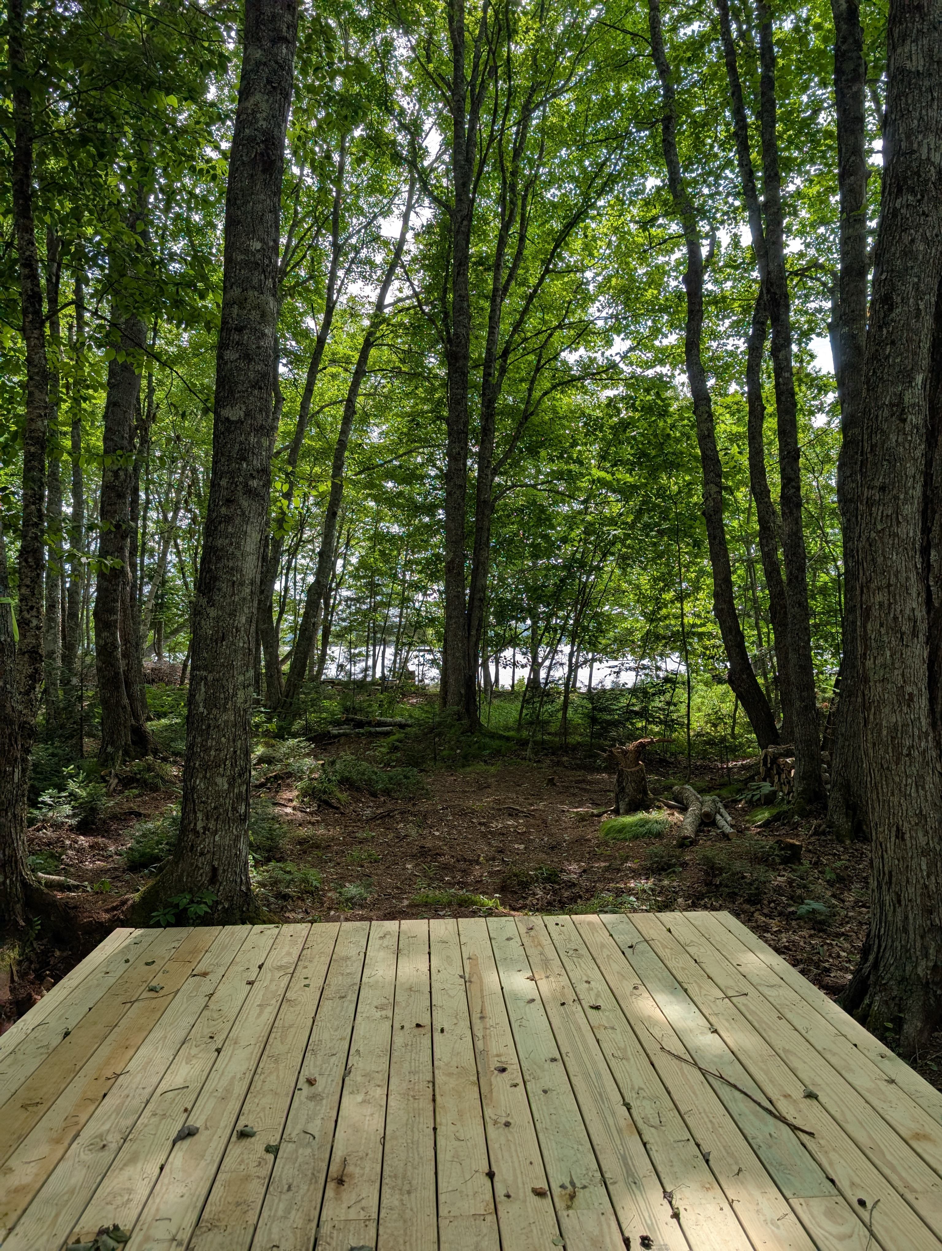 Wild Soul Serenity Campground