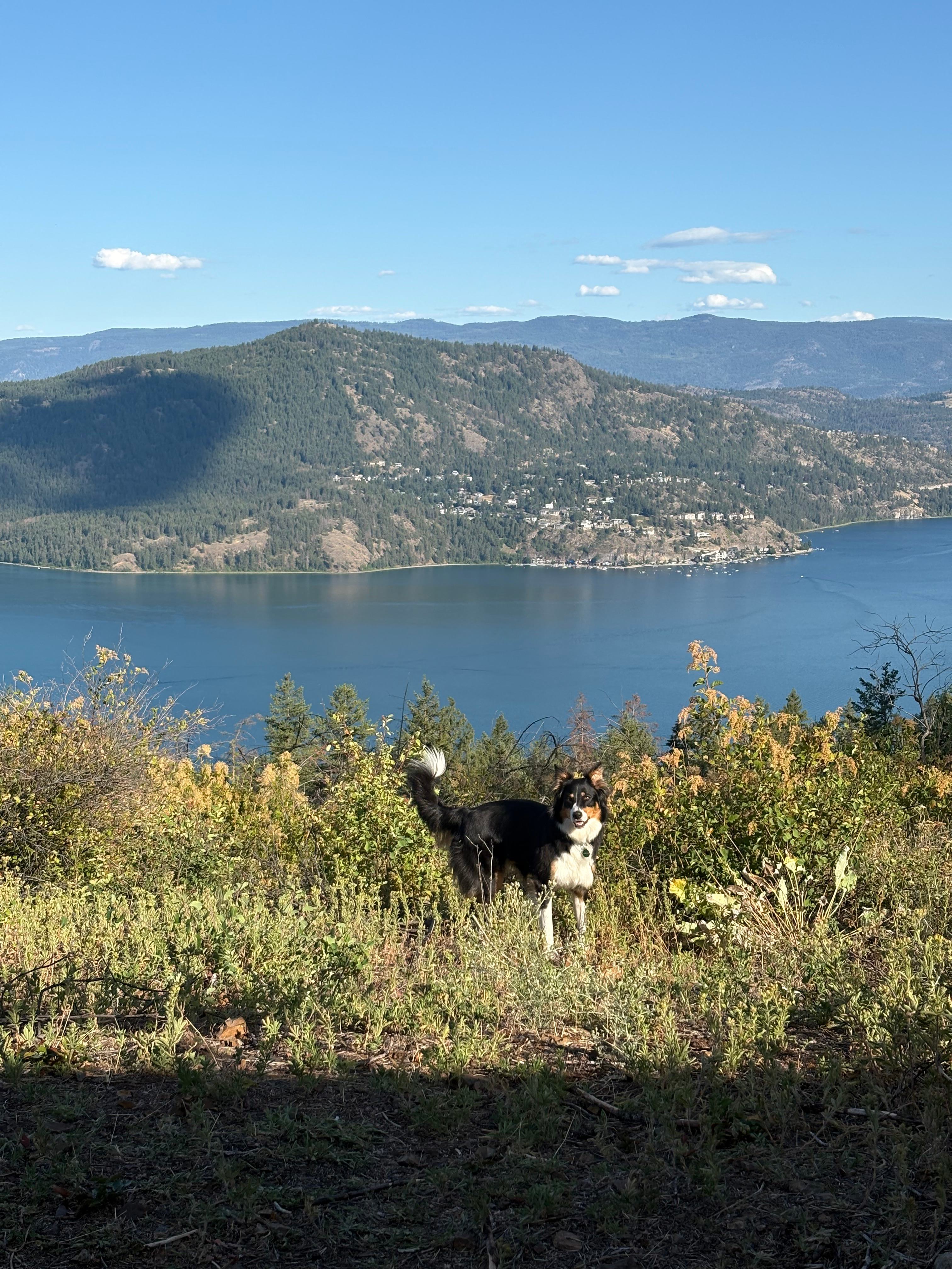 SkyRidge Lookout