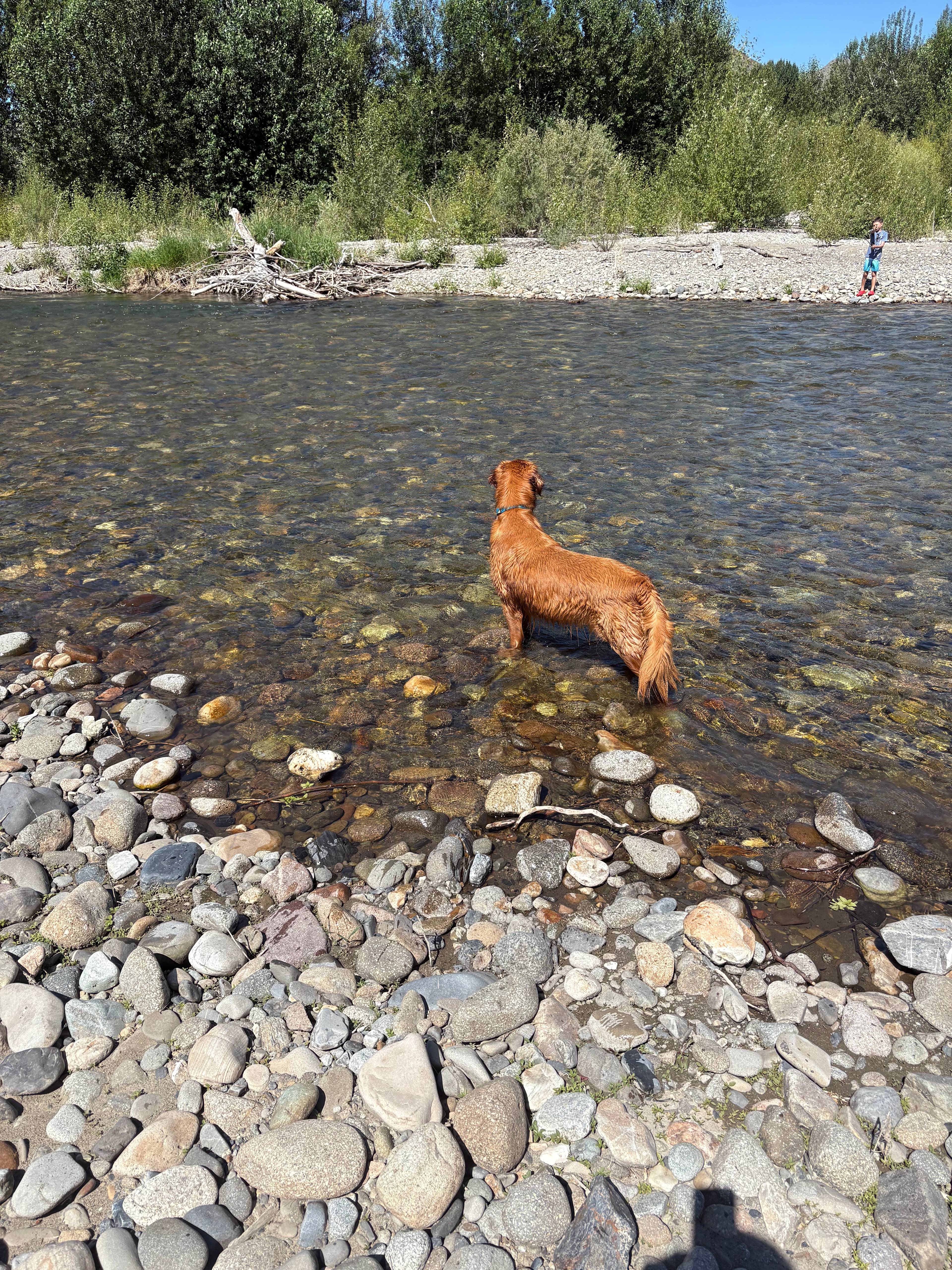 Drinkers Of The Wind Farm