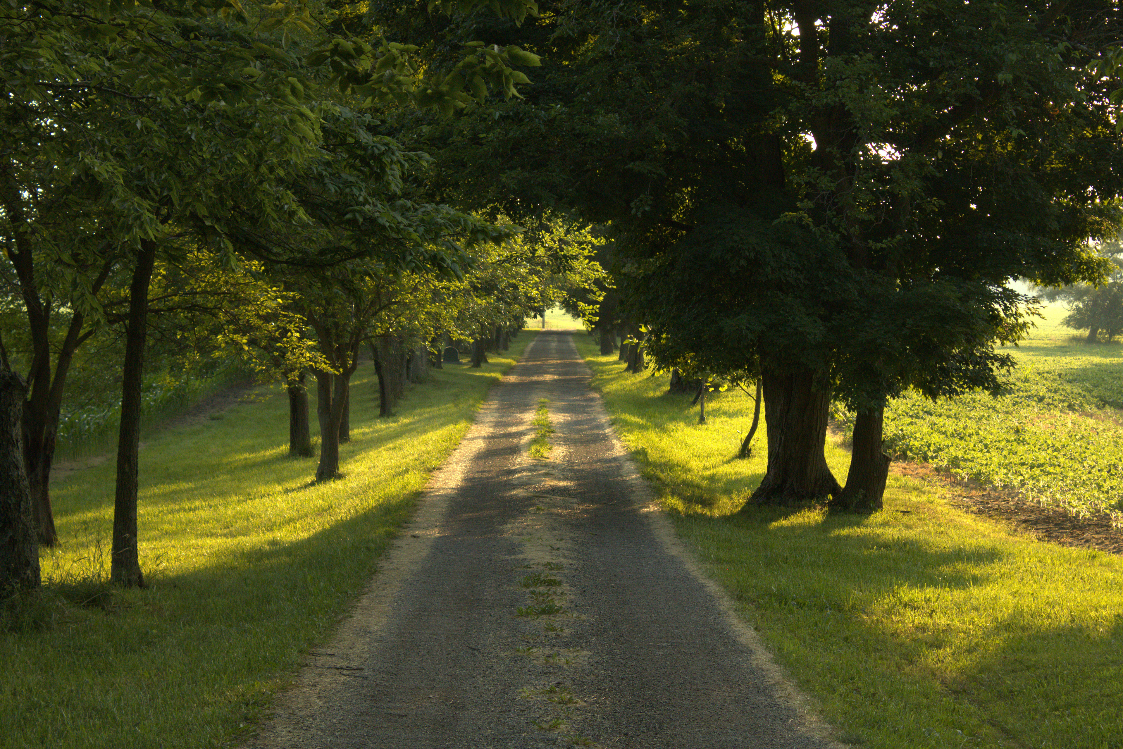 Madden Farm