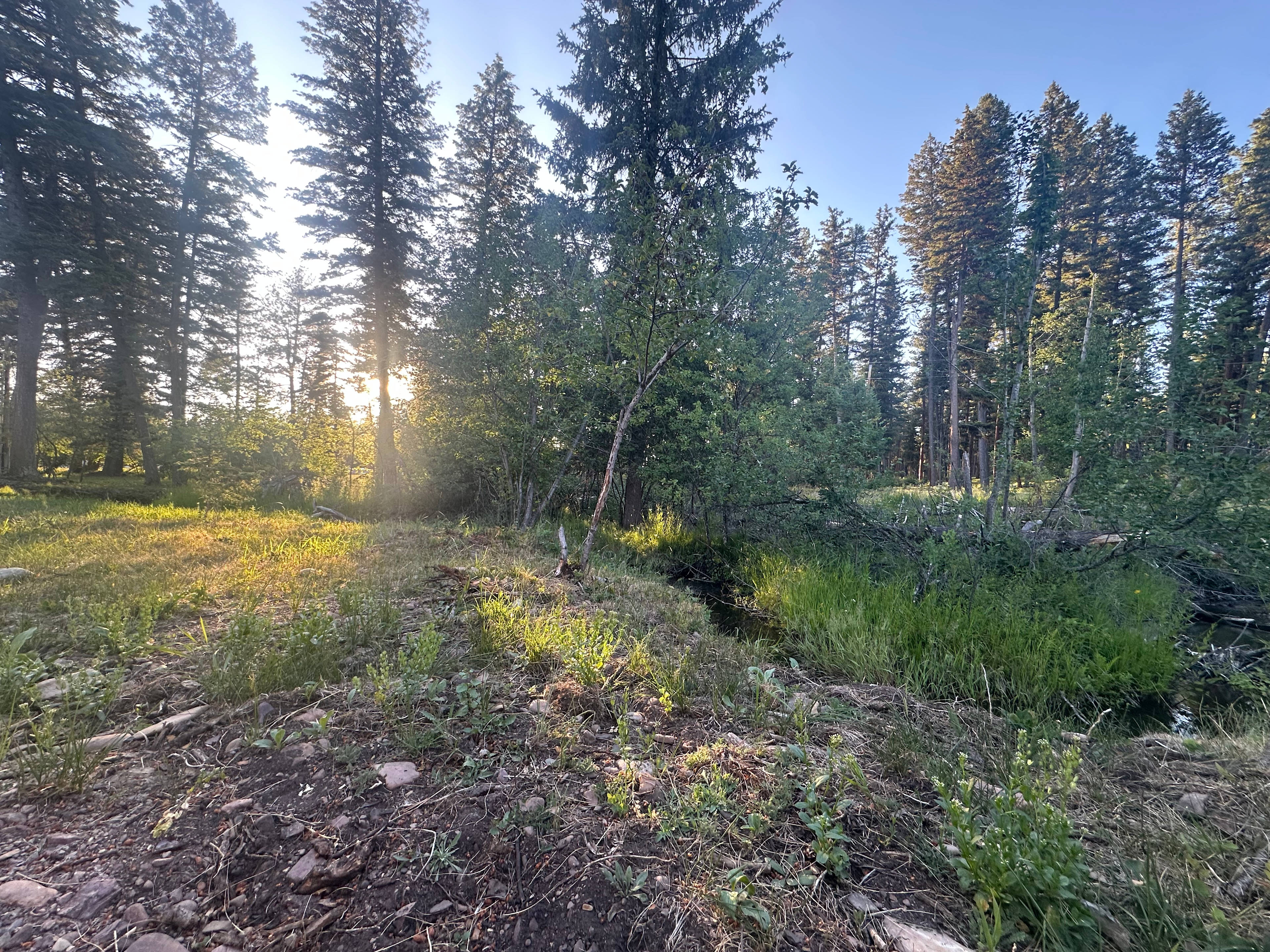 Seeley Creek
