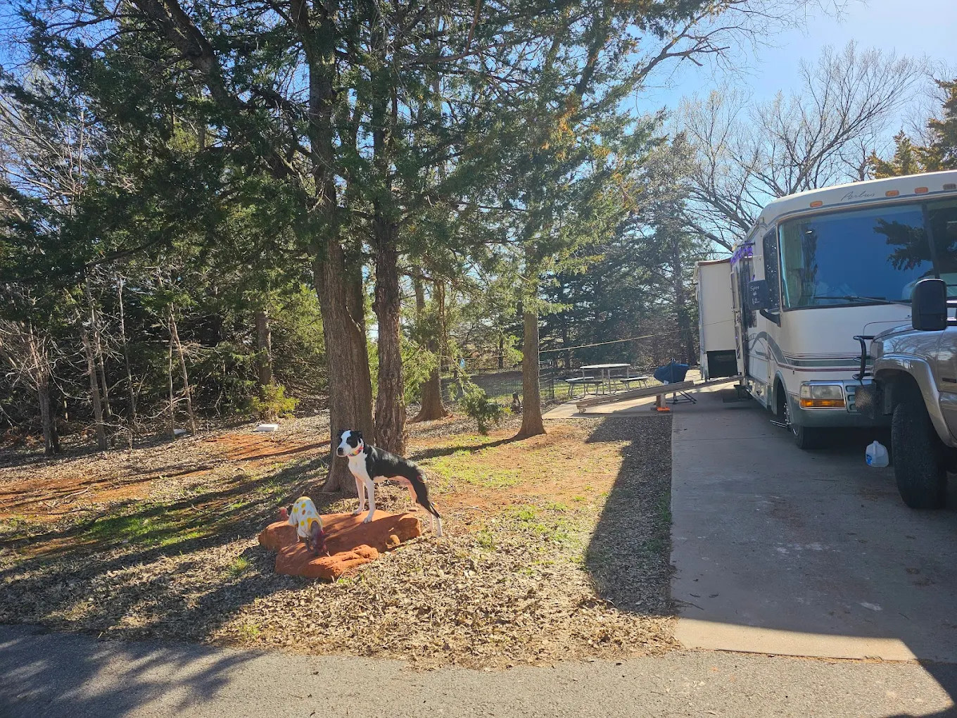 Water-Zoo Campground
