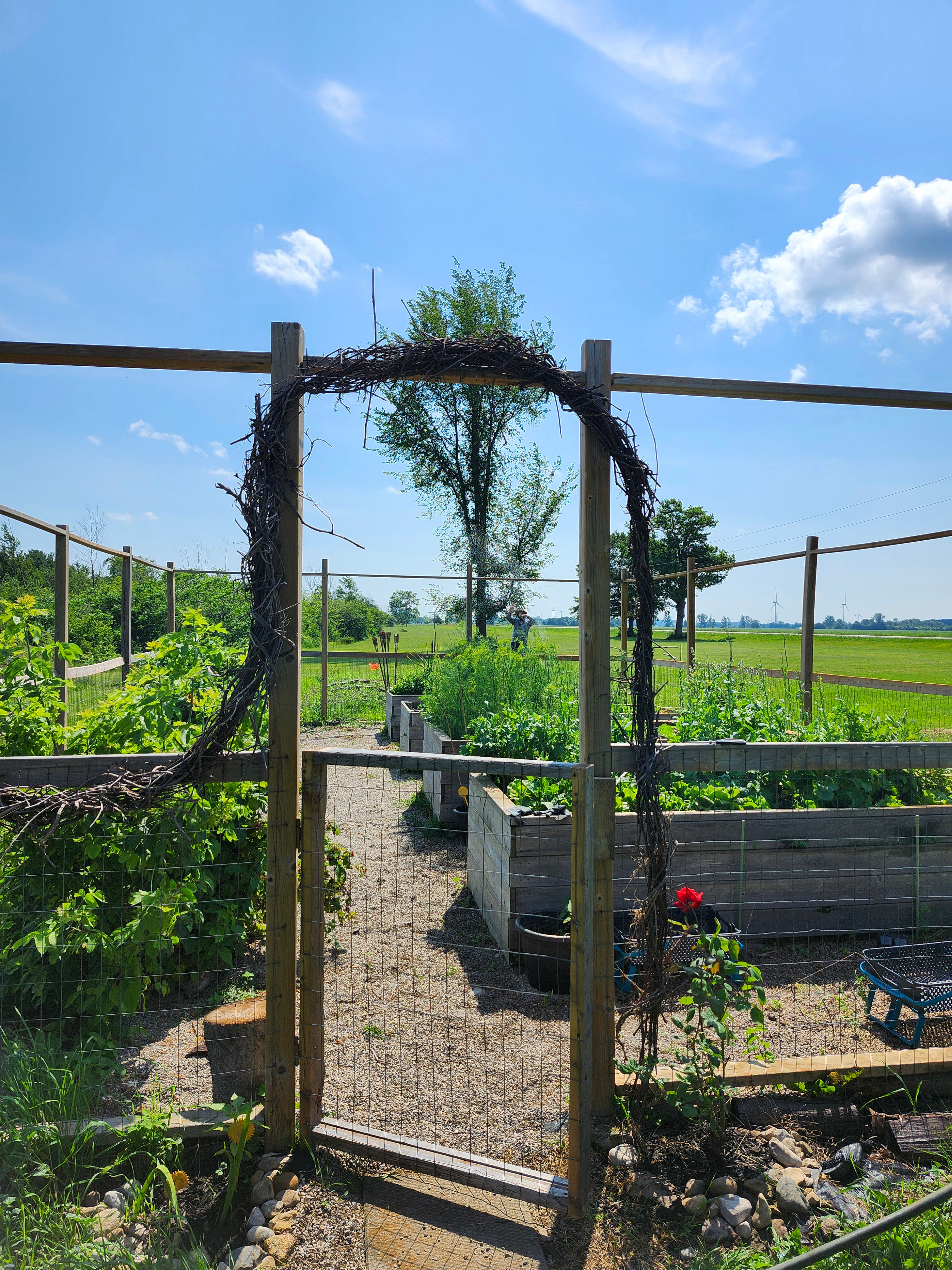 Bogie's Farm