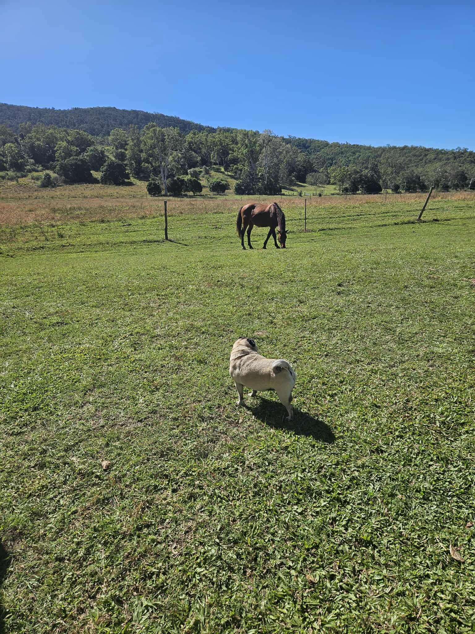 Blue Tree Campground