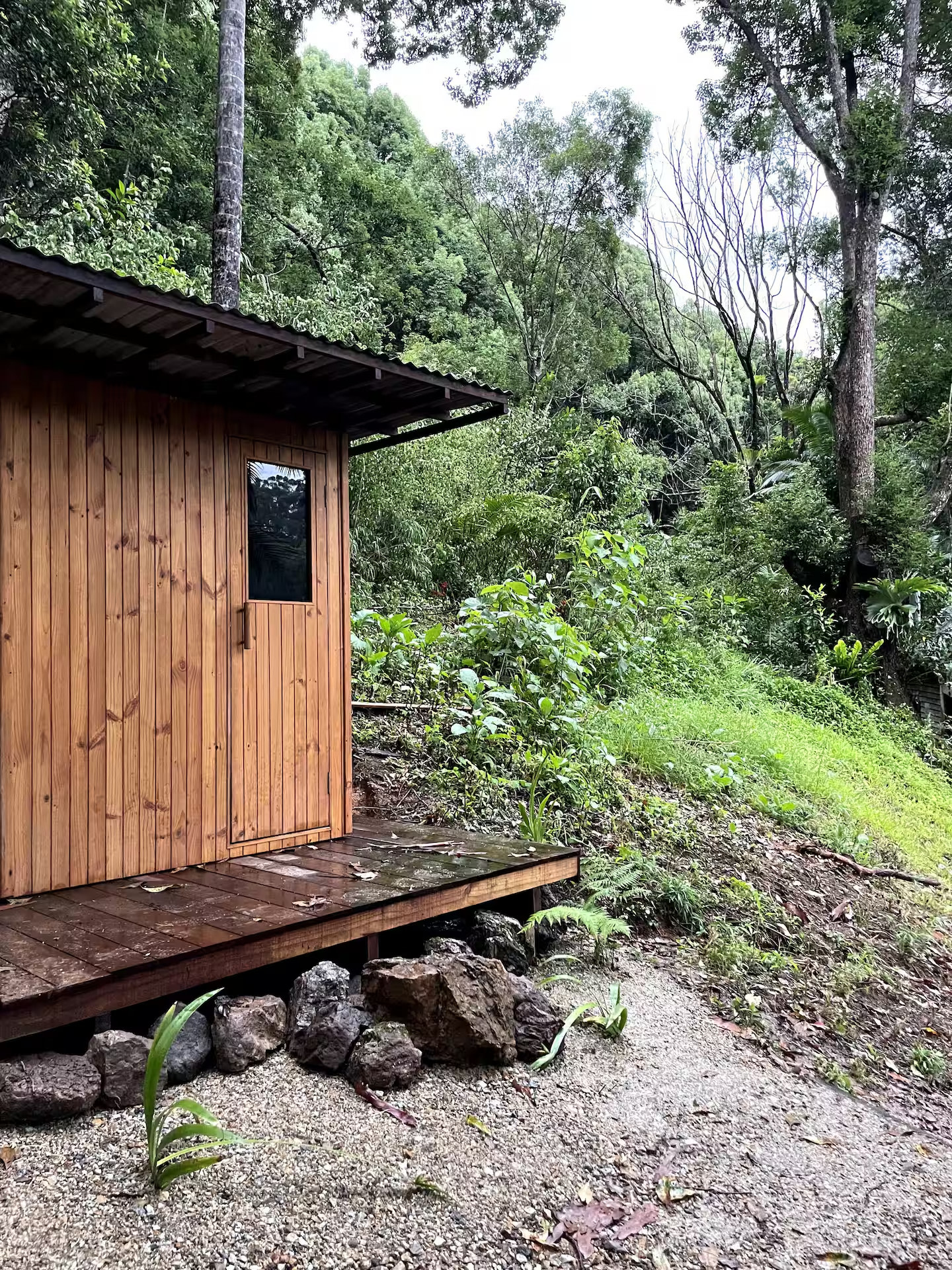 Intimate Rainforest Retreat