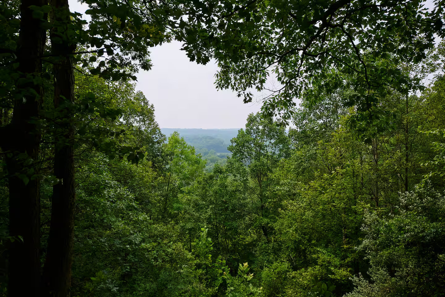 Valley Overlook