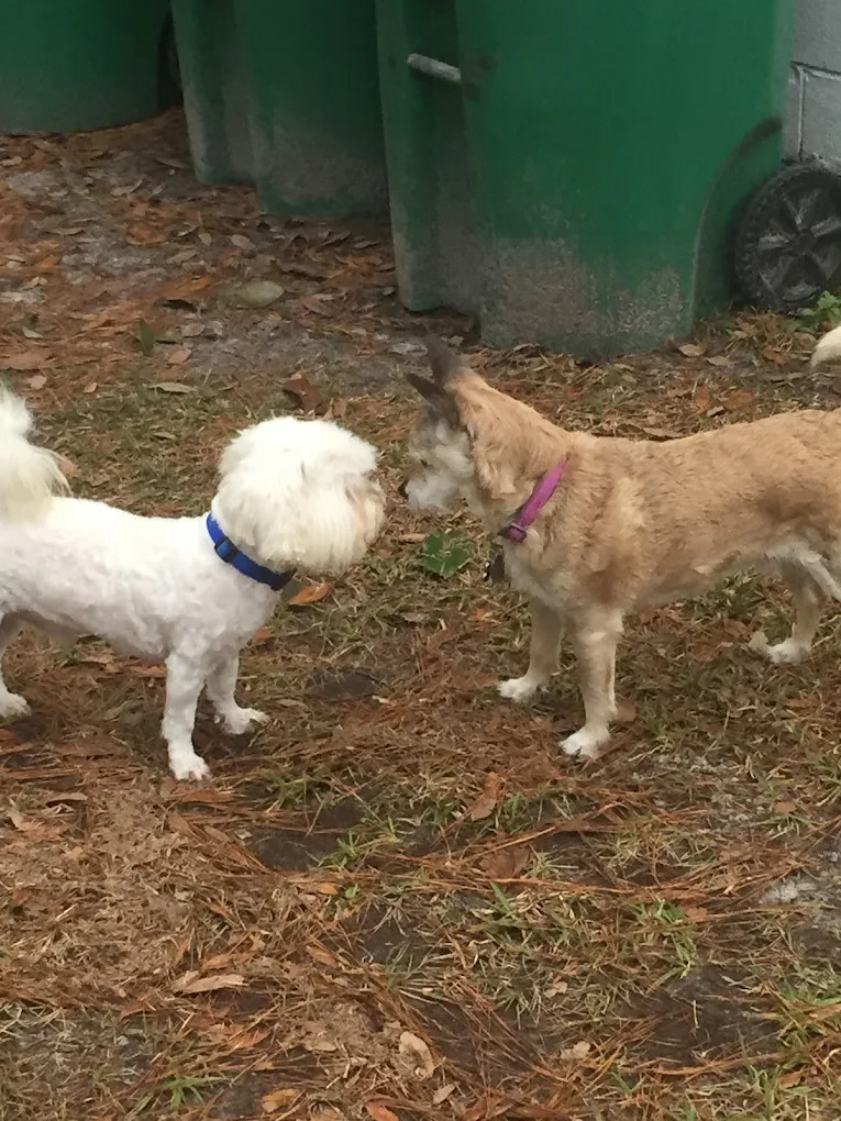 South Newport Campground