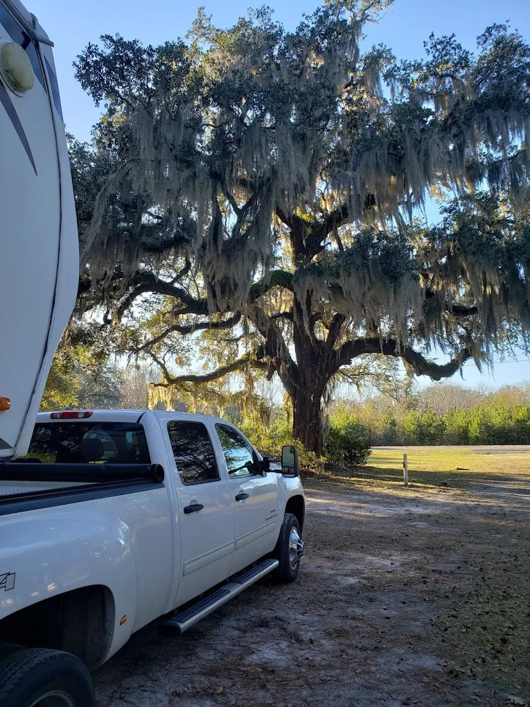 South Newport Campground