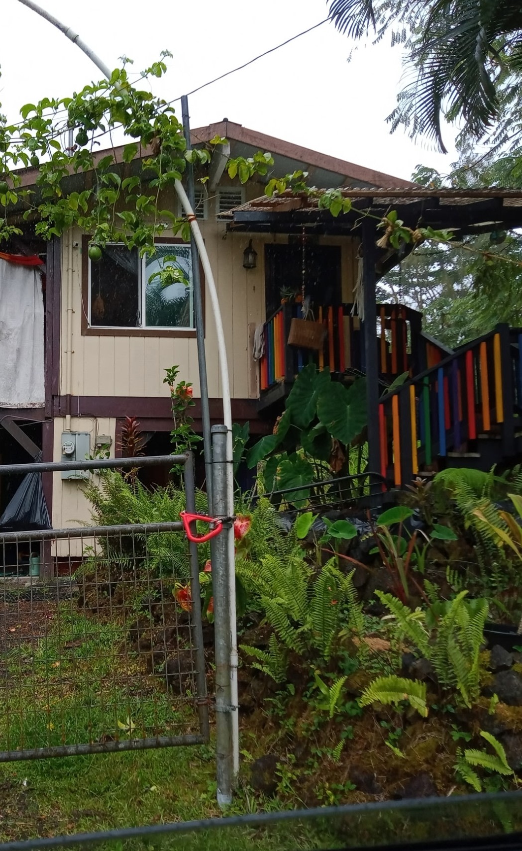 The Rainbow House