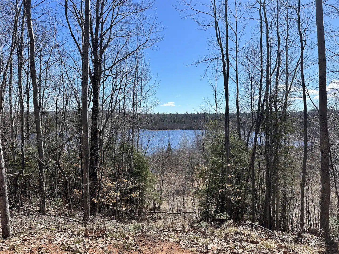 Frosty's Lakeview Chalet