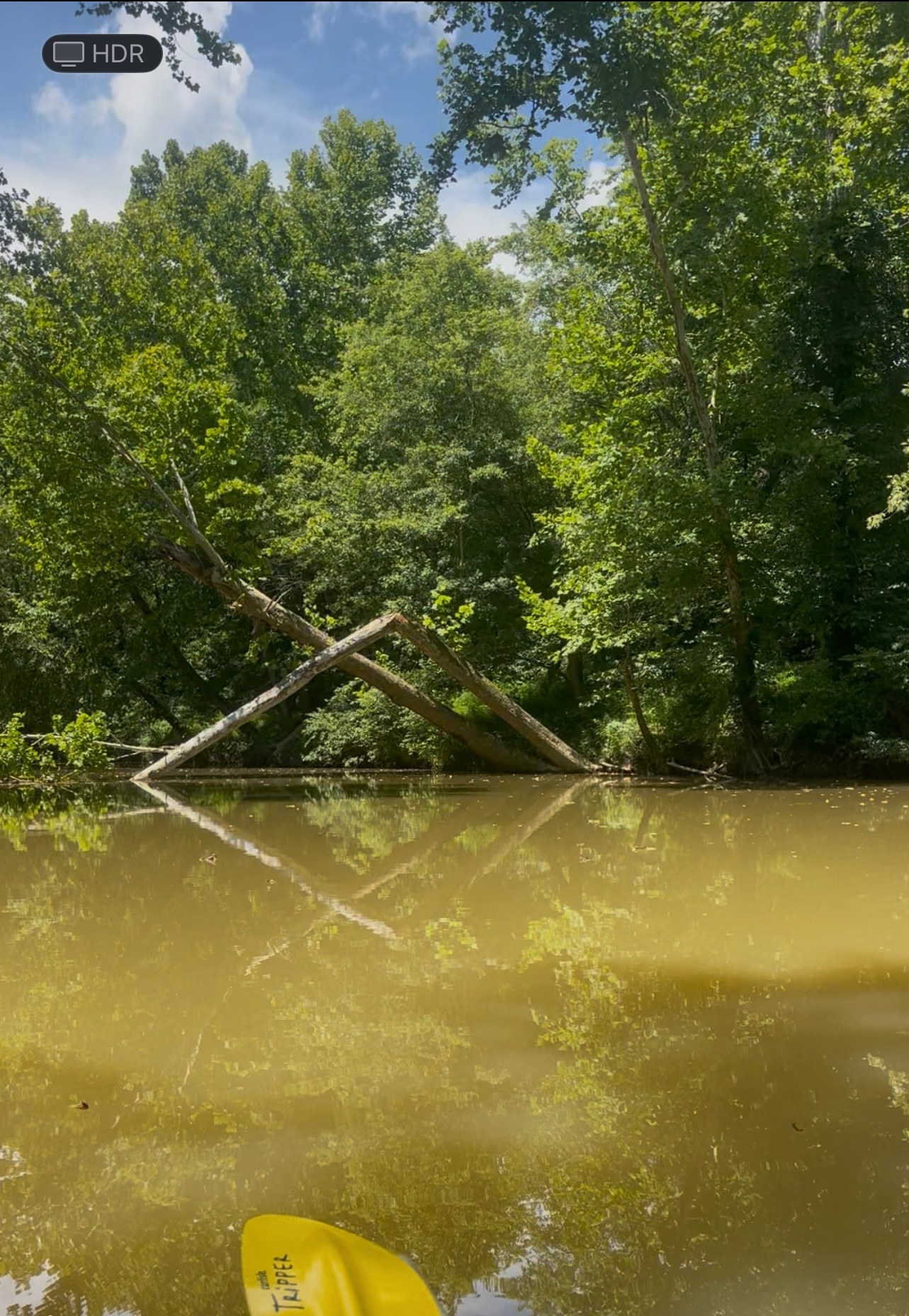 Shady Creek Camping
