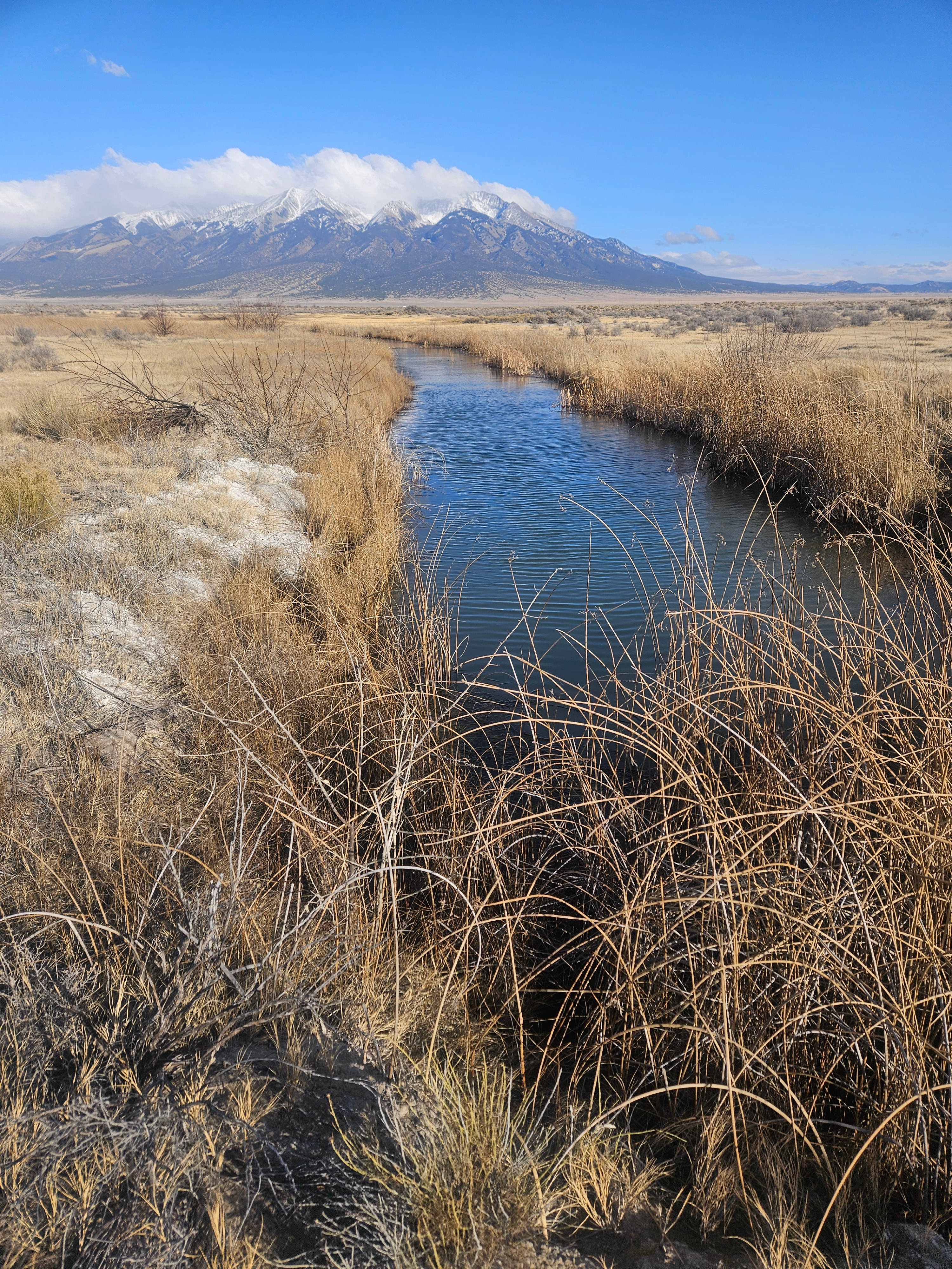 Mt. Blanca Wetlands Oasis