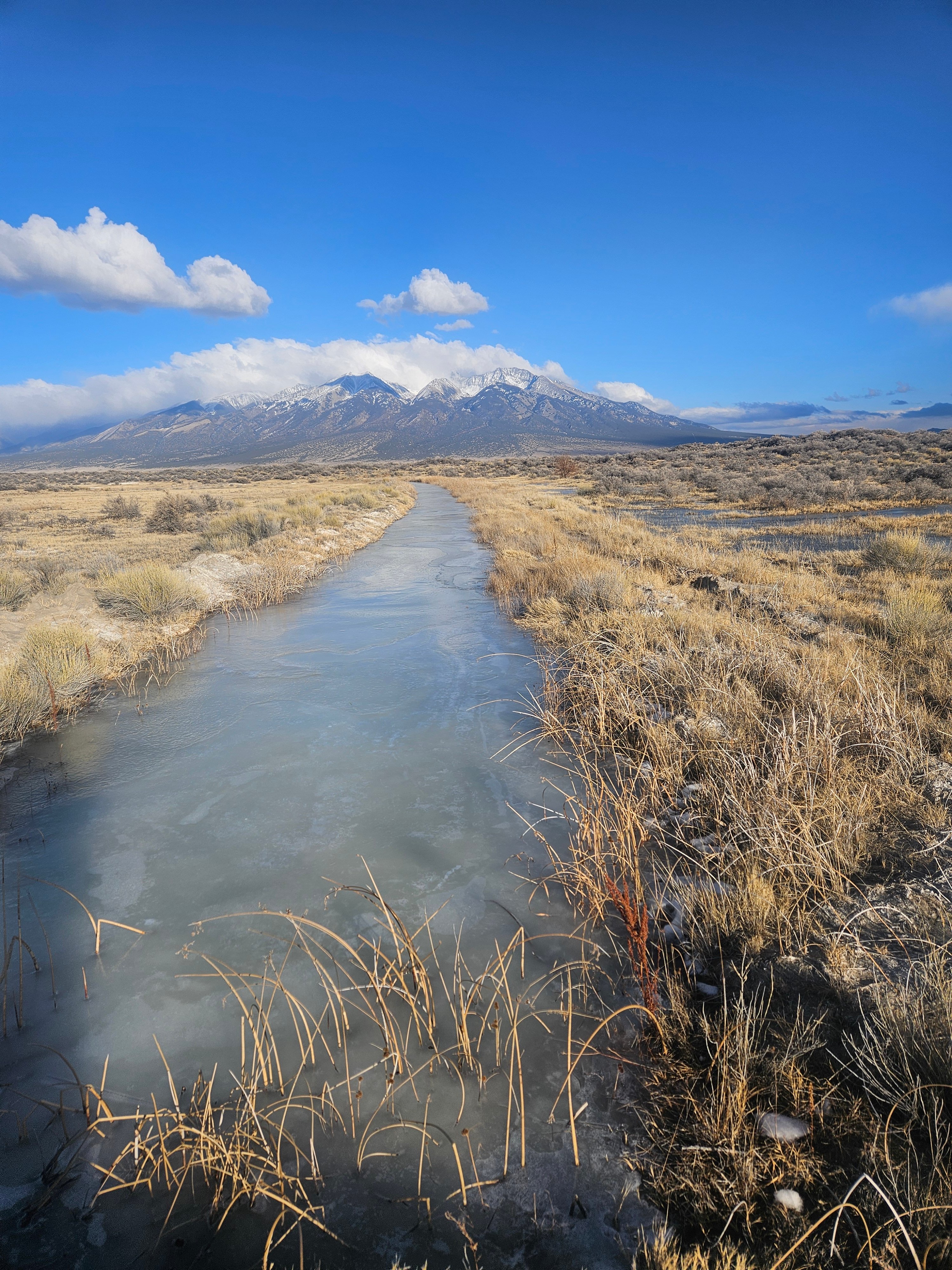 Mt. Blanca Wetlands Oasis