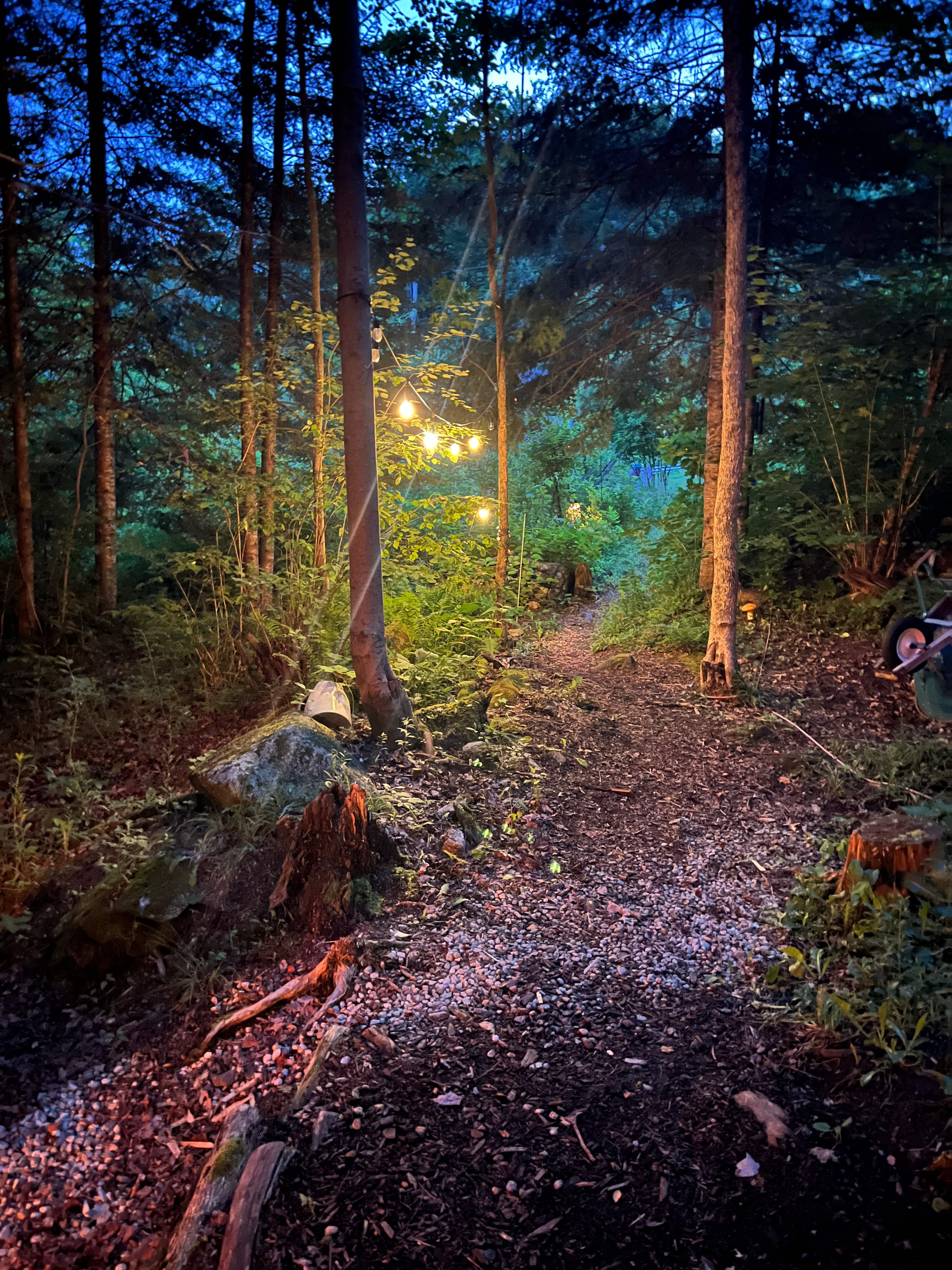 Mountain View Gardens & Apiary