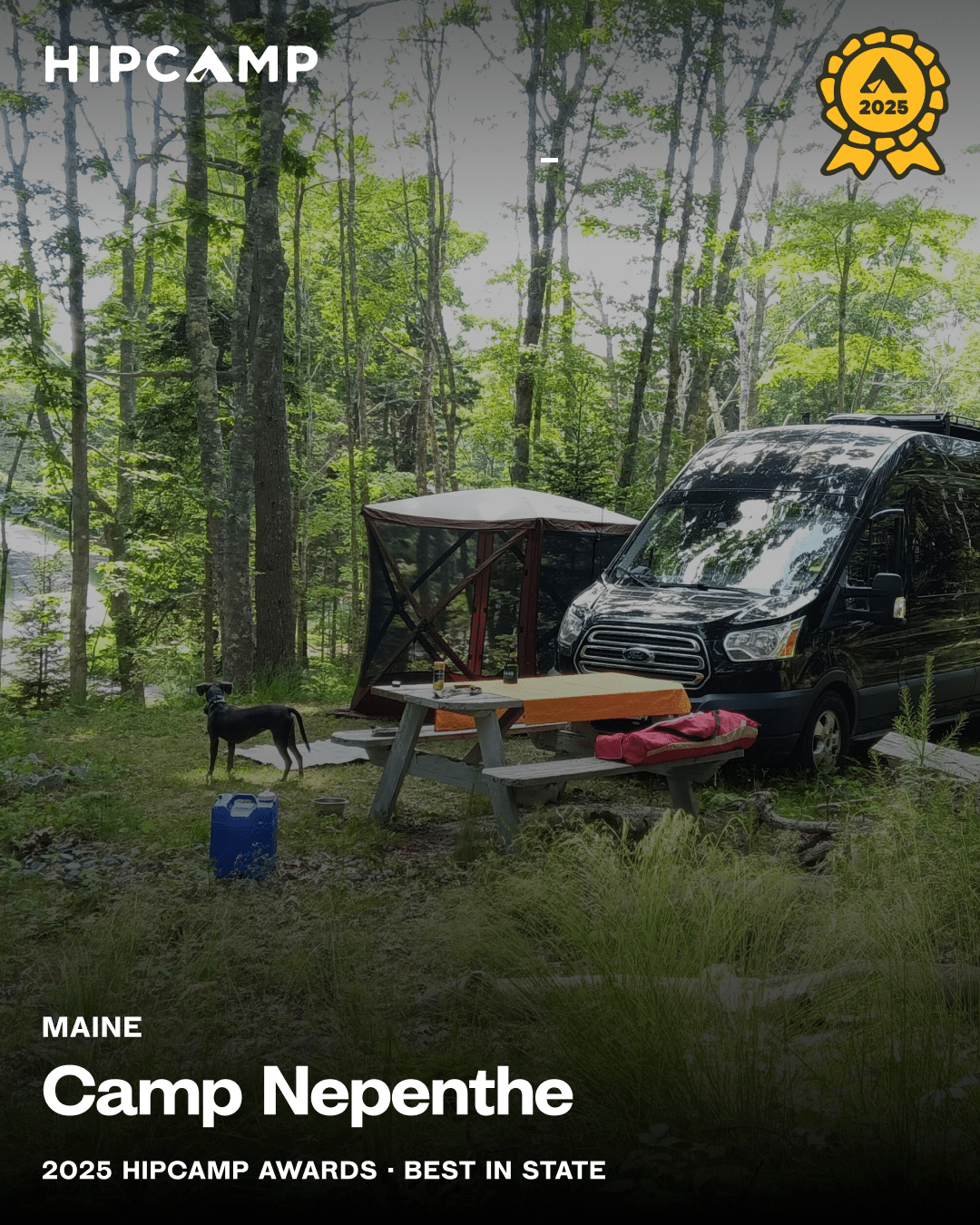 Camp Nepenthe