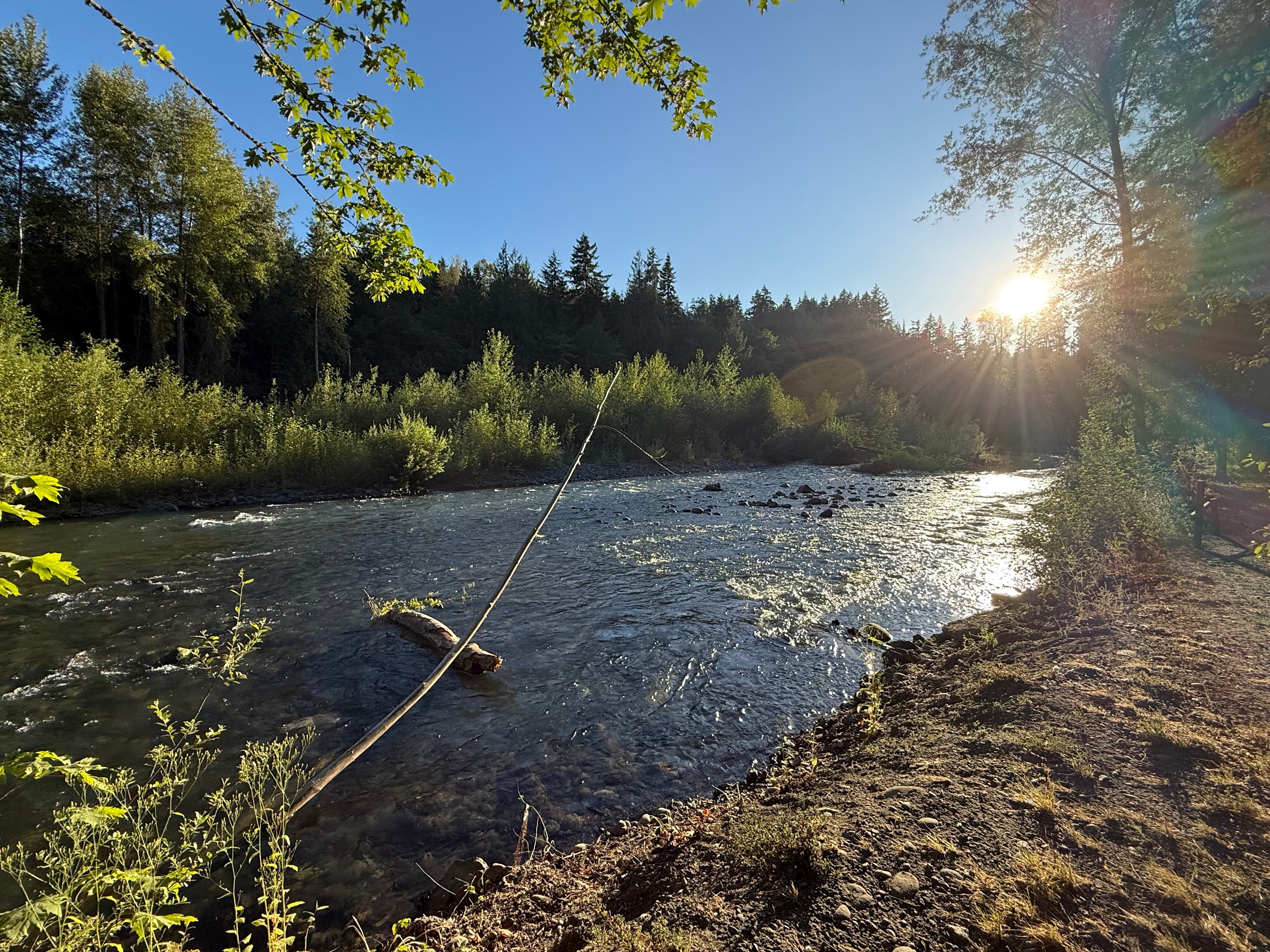 Dungeness River from the site 