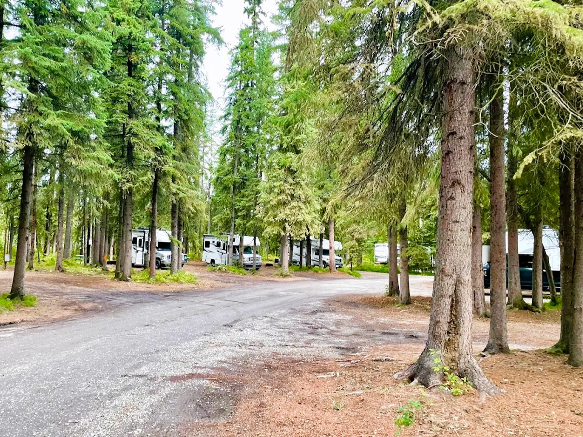 Tanana Valley Campground