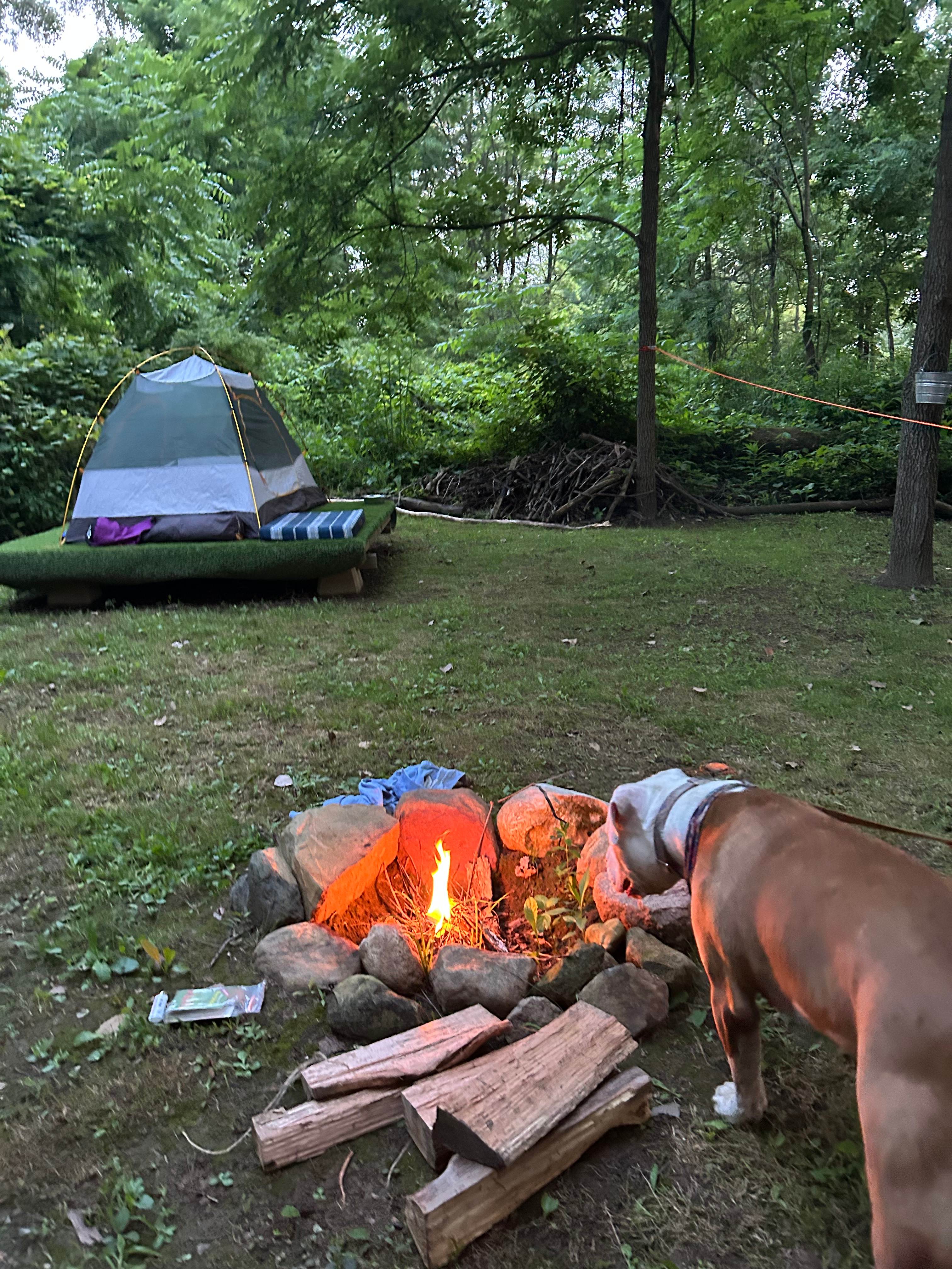 Tucked Away Tenting