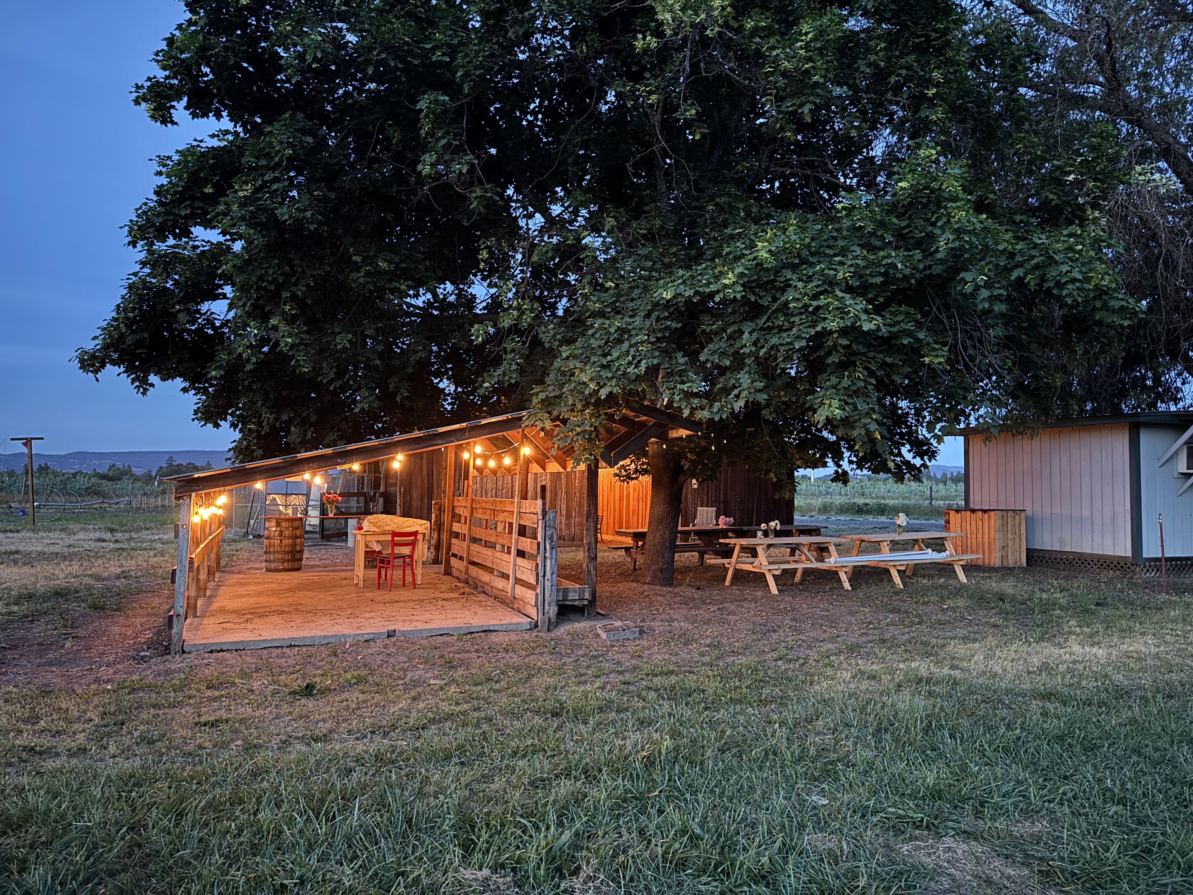 Wild Hare Farms