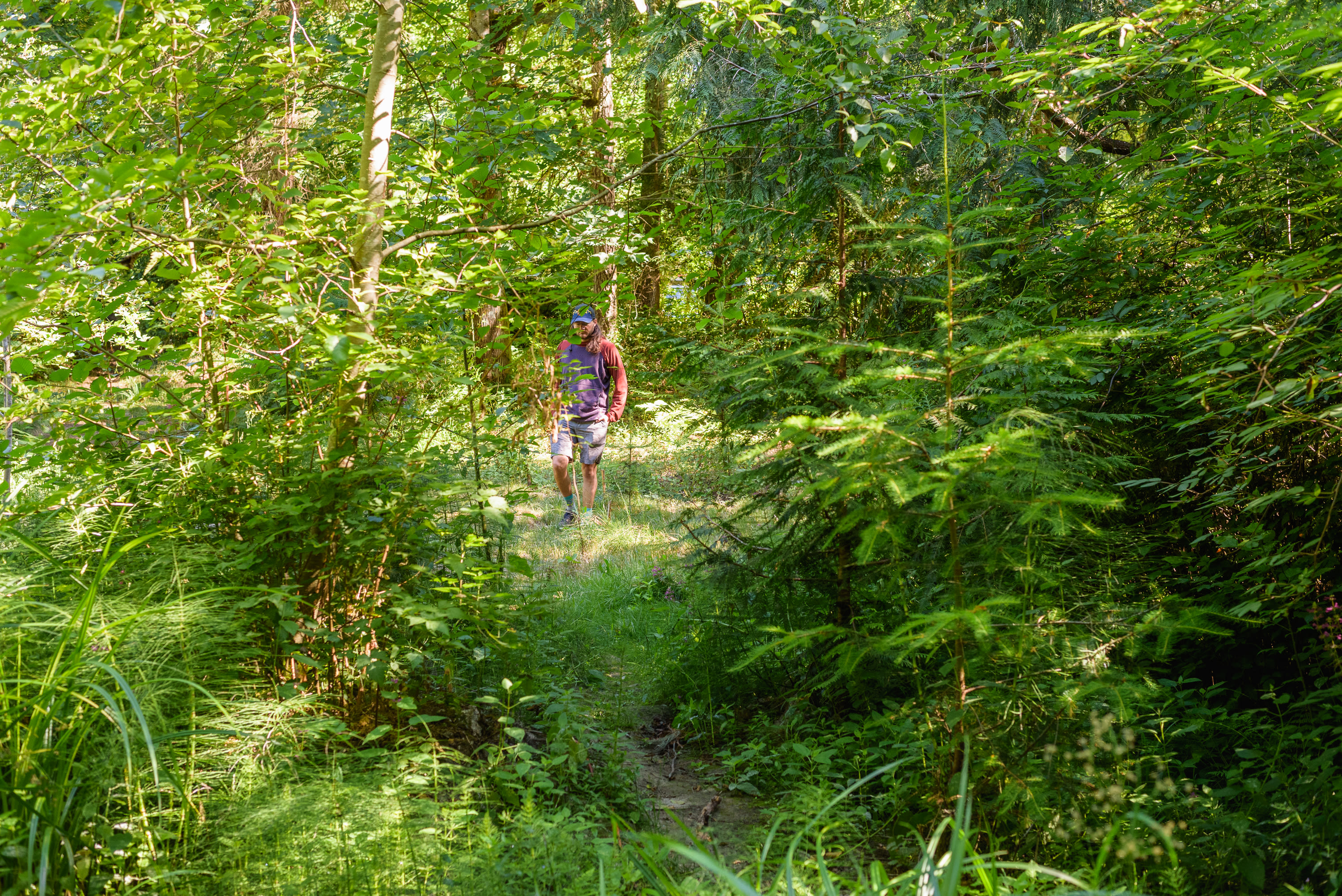 Walking to the pond
