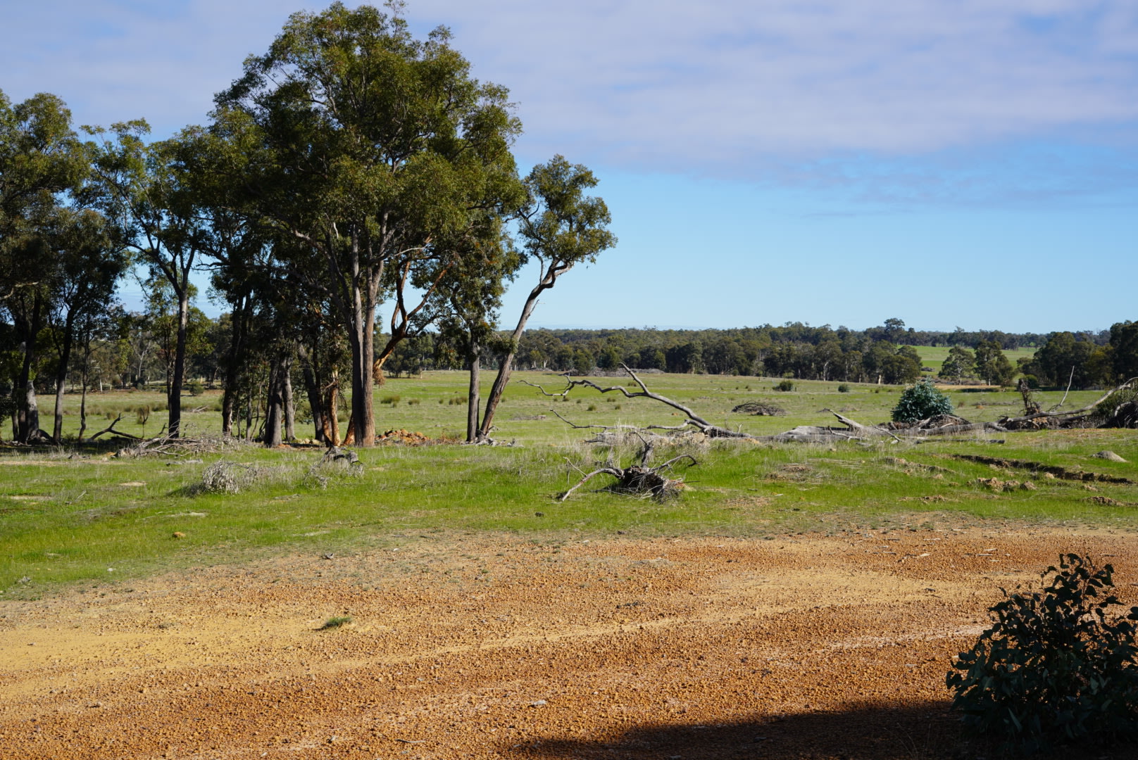 Wandoo Springs Bush Camp