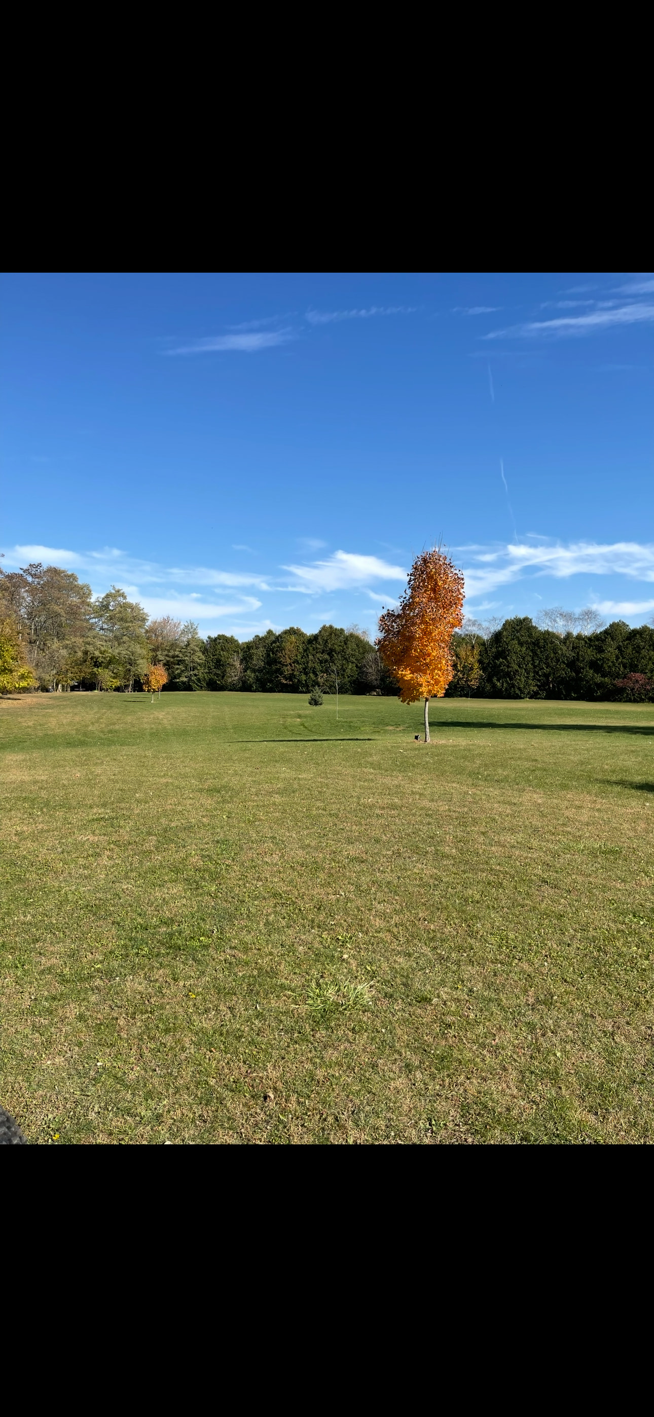 Black Locust Creekside Hideaway