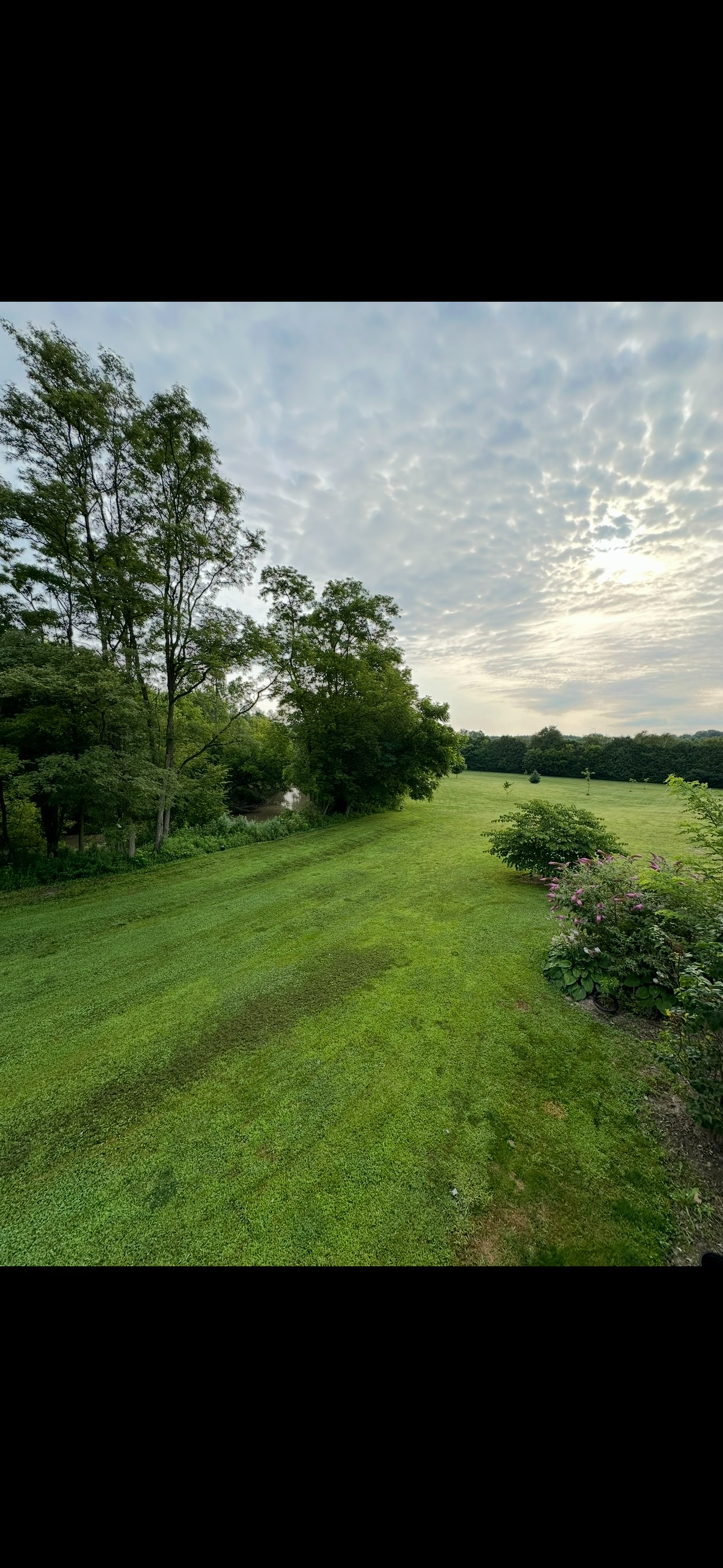 Black Locust Creekside Hideaway
