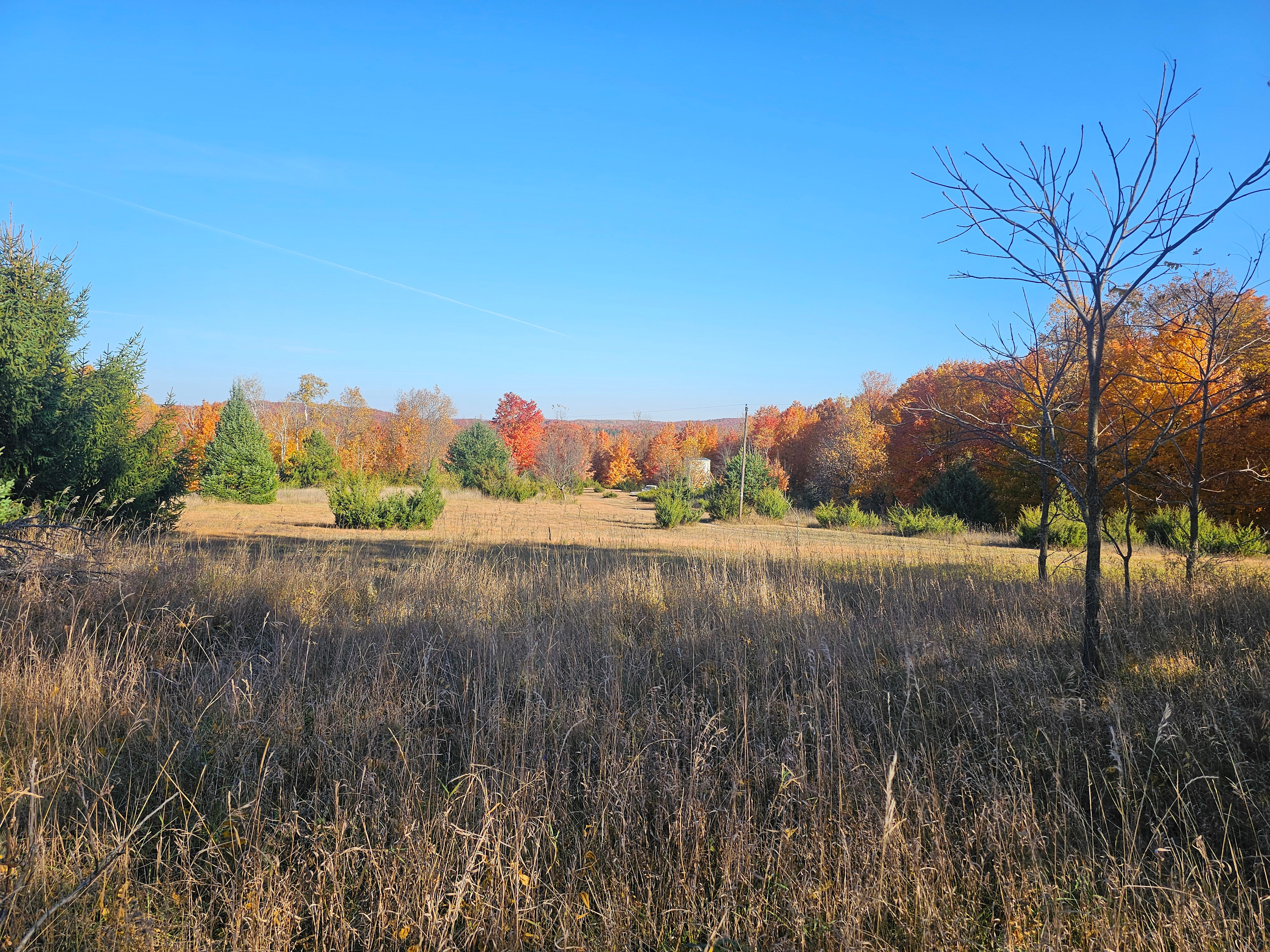 Raven Ridge Overlook